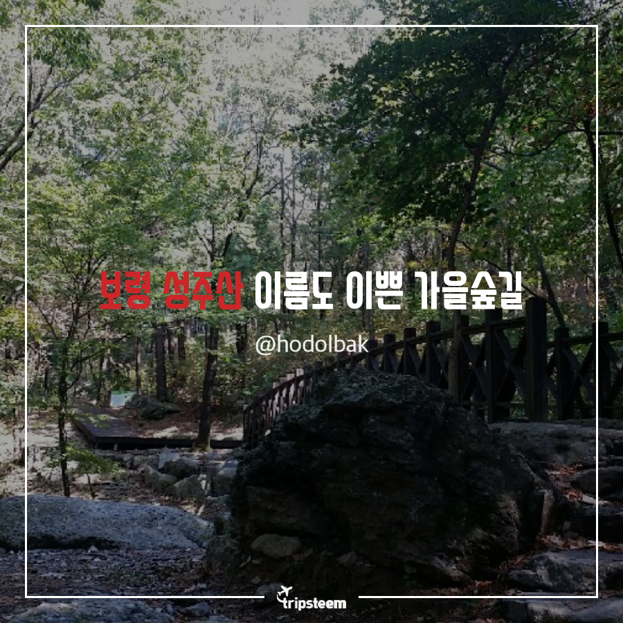 tyle-mlf-9-1541338217.png
