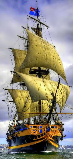 788429.jpg
