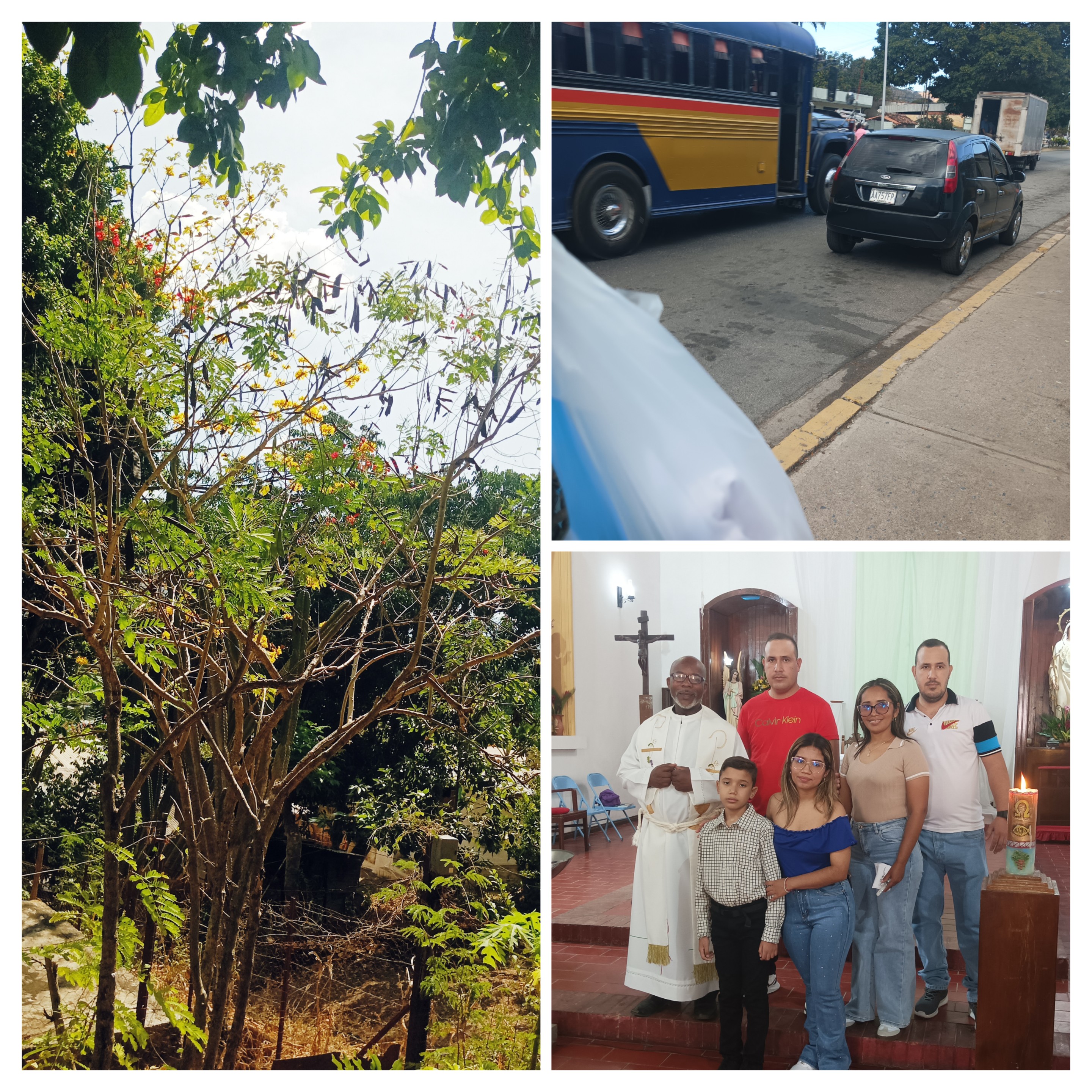 20260111_163922-COLLAGE.jpg