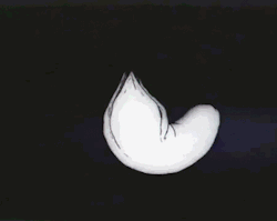 tumblr_naktidTJUy1tjsogwo1_250.gif