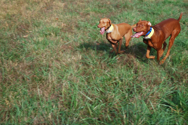 dsc_0561.jpg