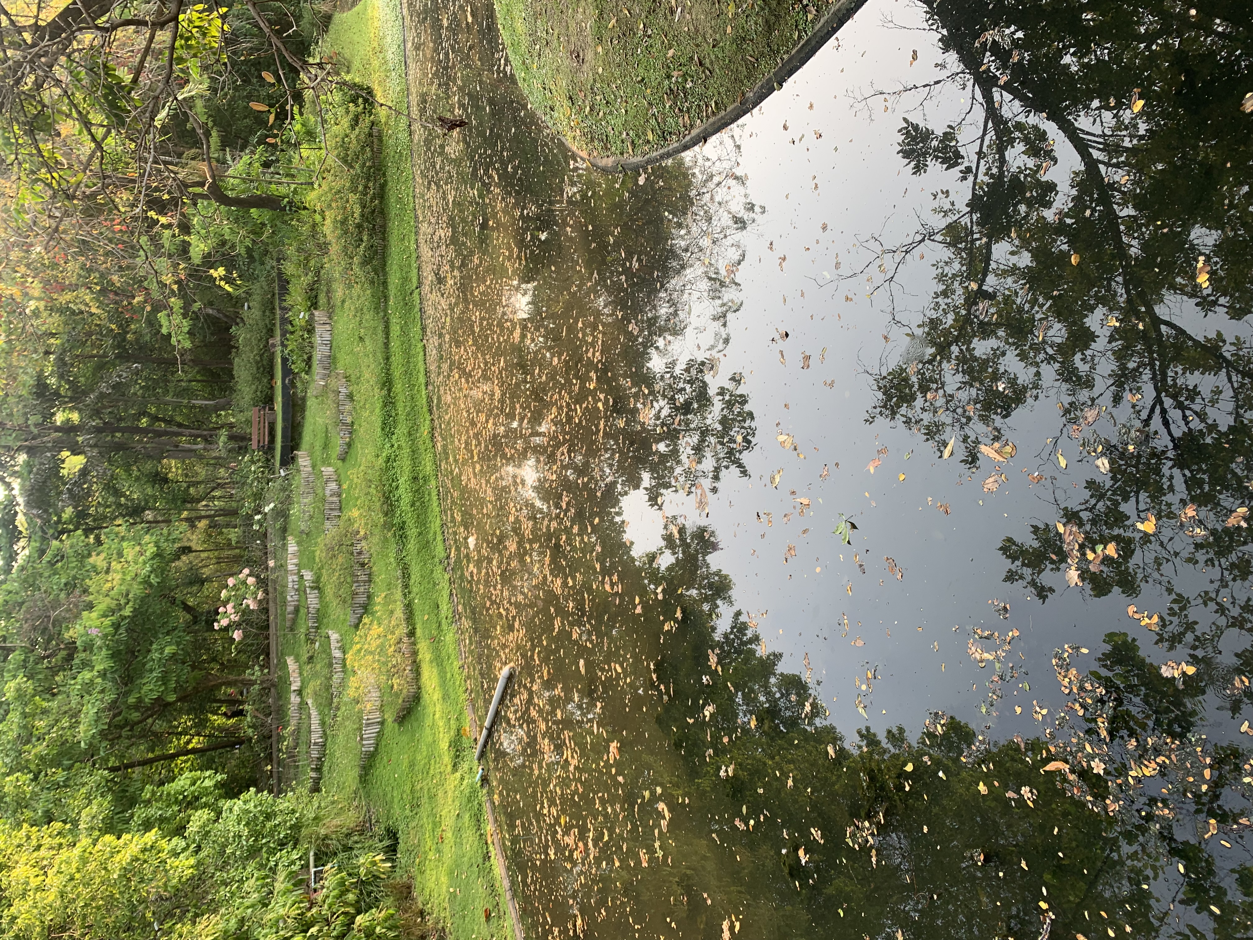 Queen Sirikit Park402.jpg