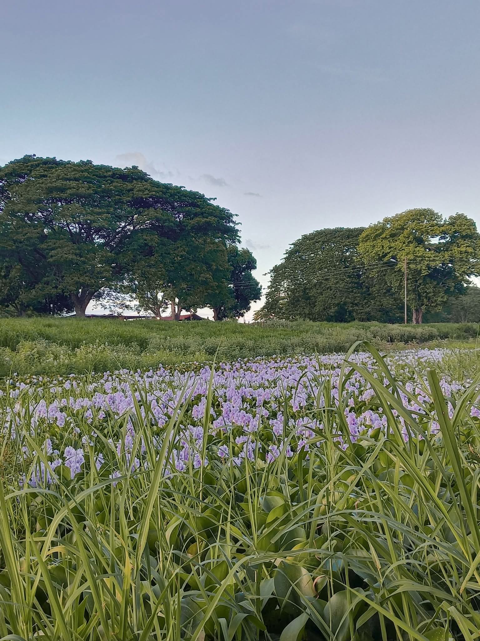 1000169805.jpg