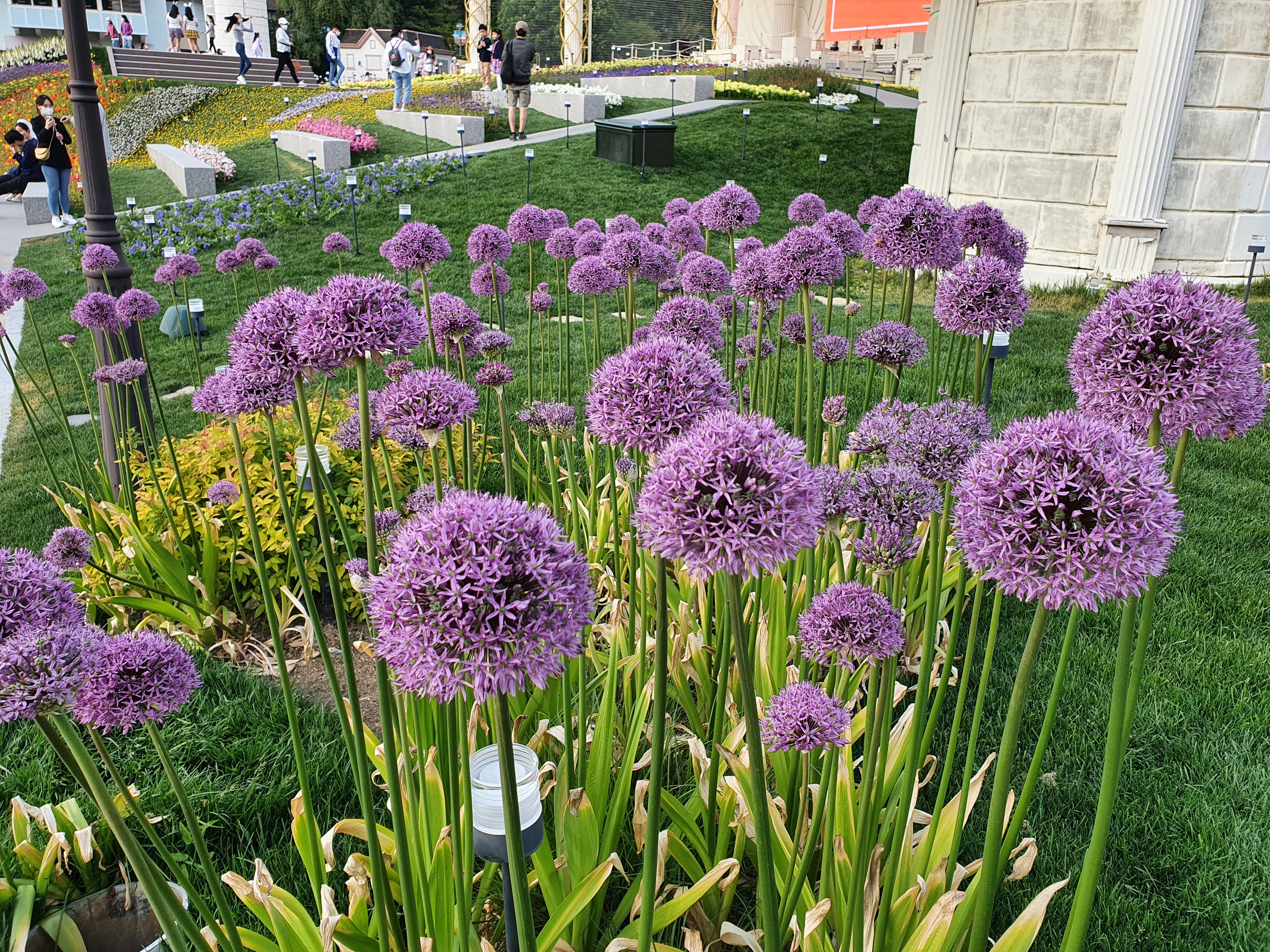 1620165249807-4.jpg