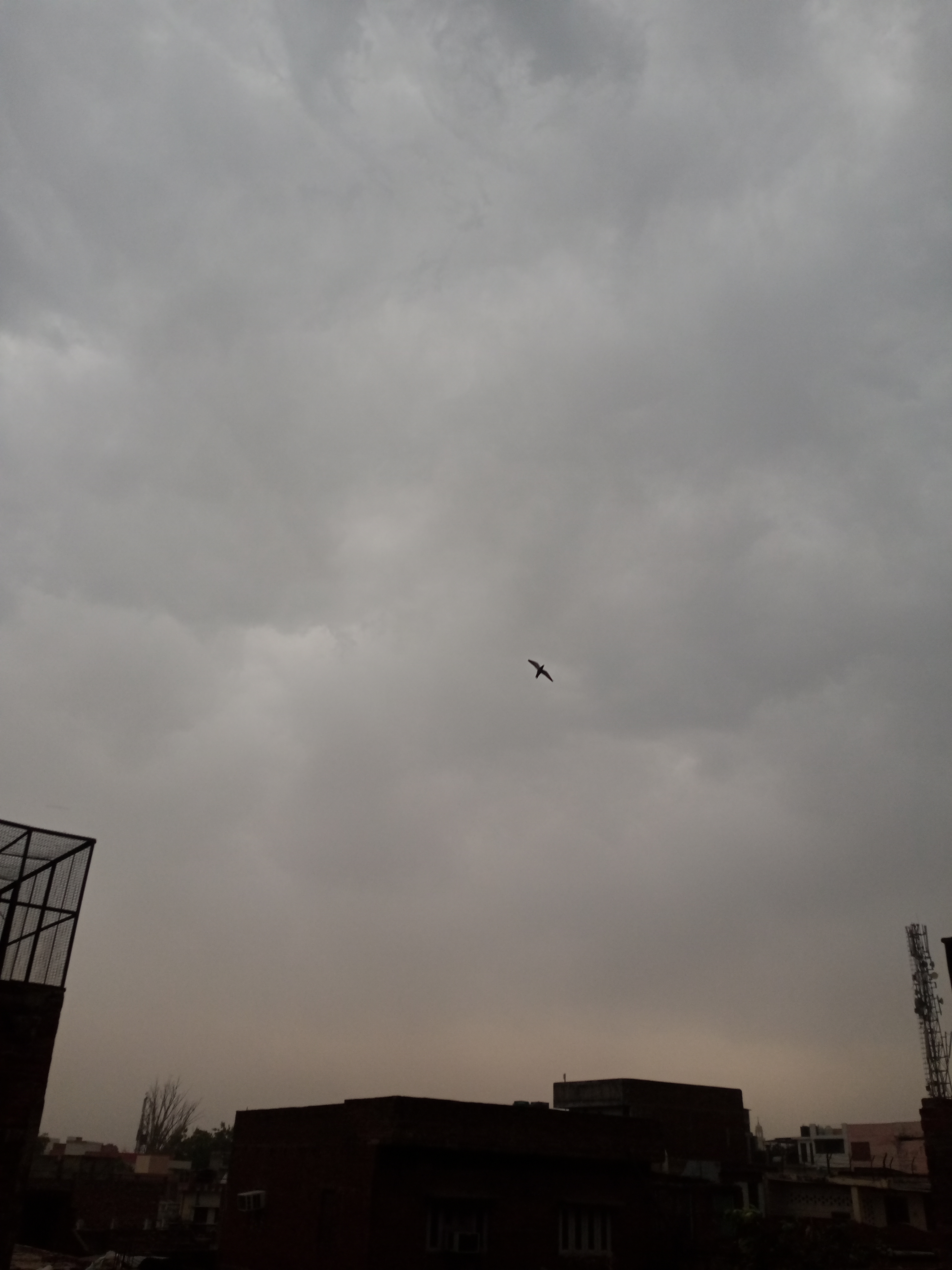 IMG20230423143134.jpg