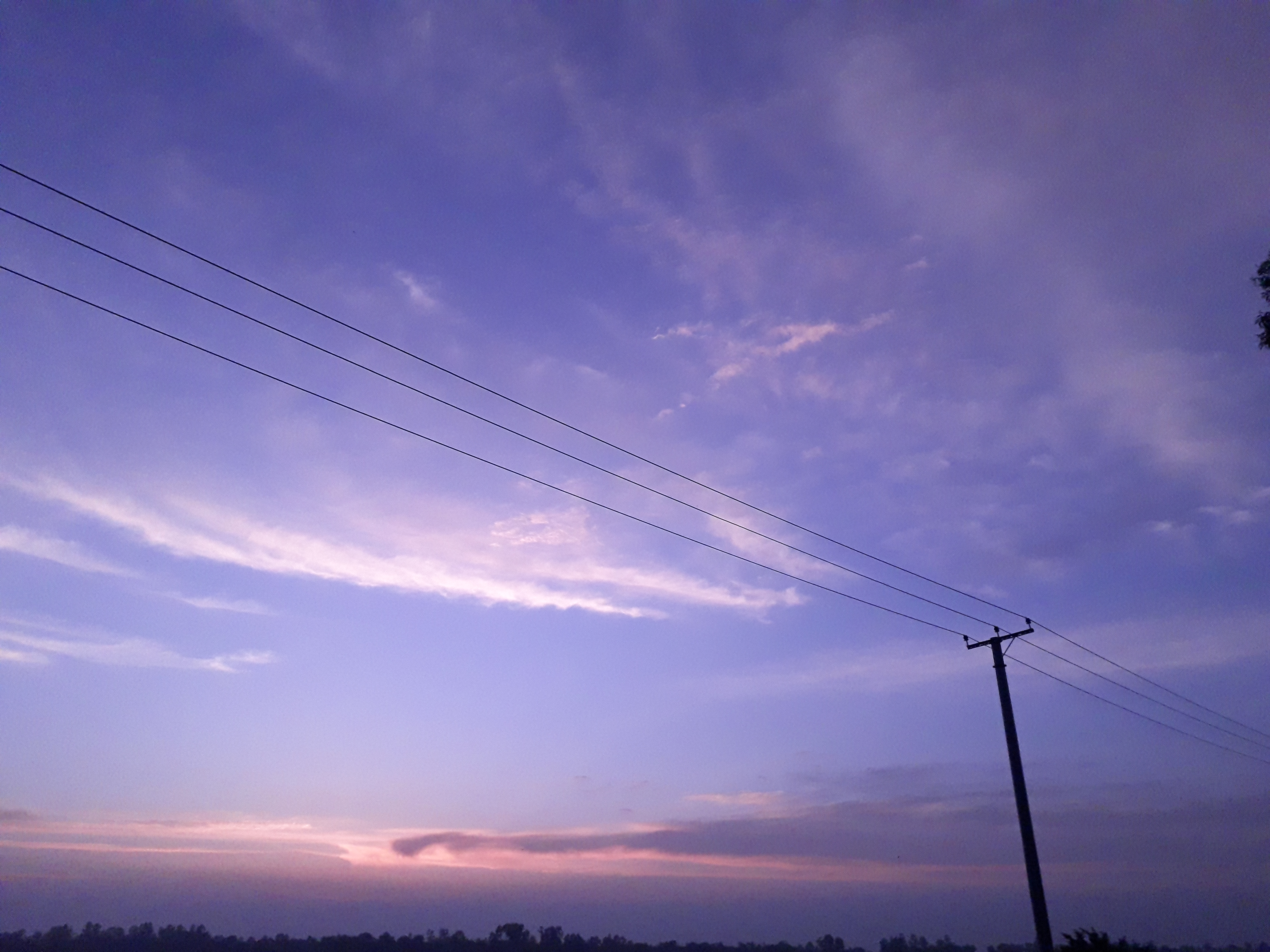 20200502_183307.jpg