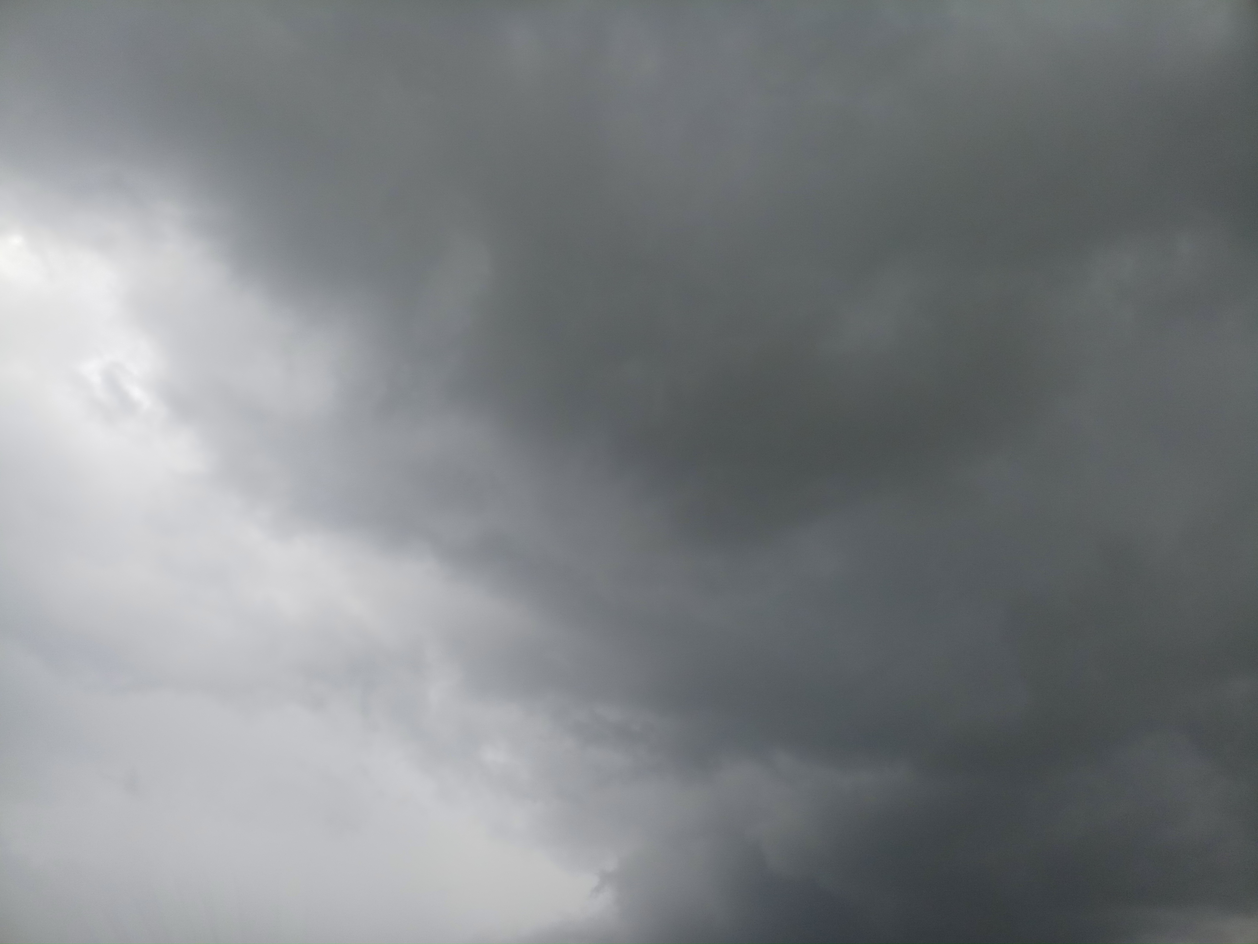 20190808_132401.jpg
