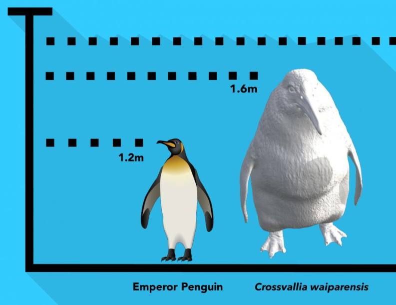 58.PNG