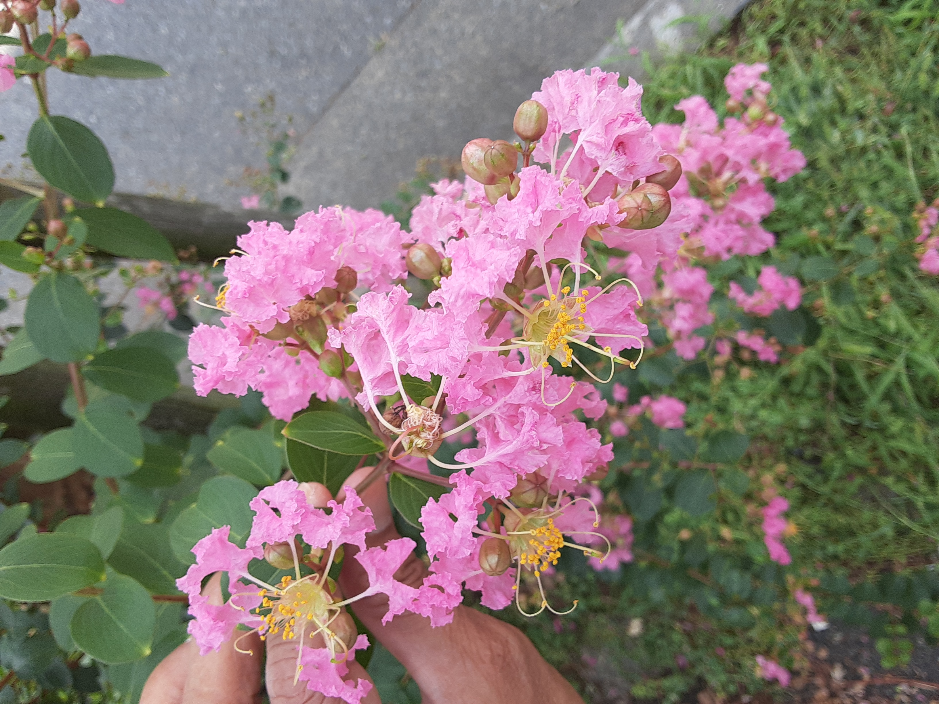 20240801_122547.jpg