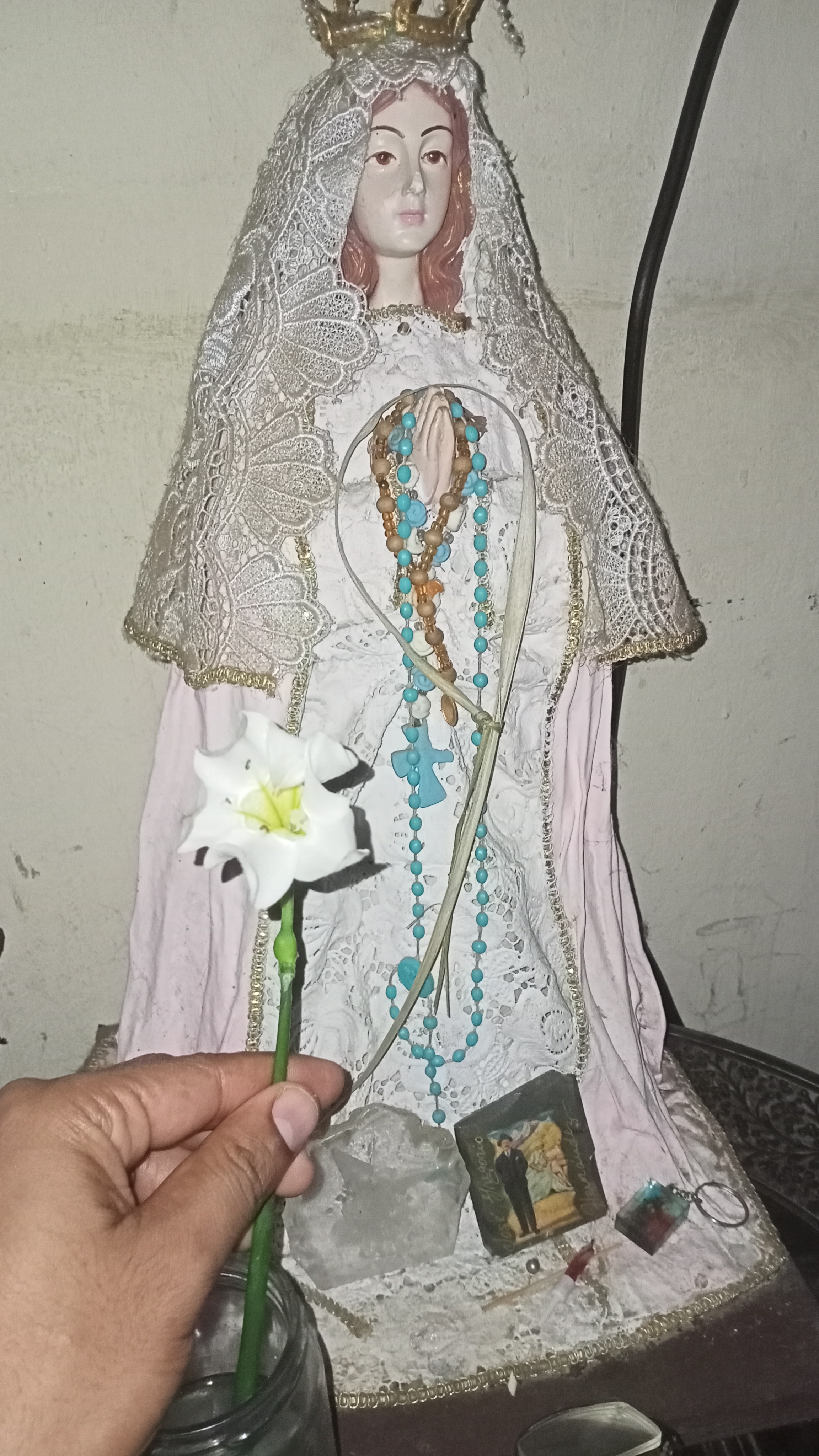 IMG20210528175803.jpg