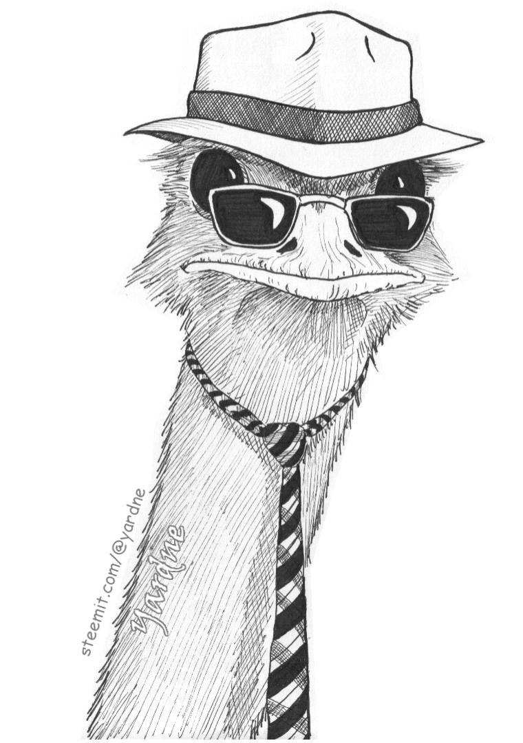ostrich in disguise.jpg