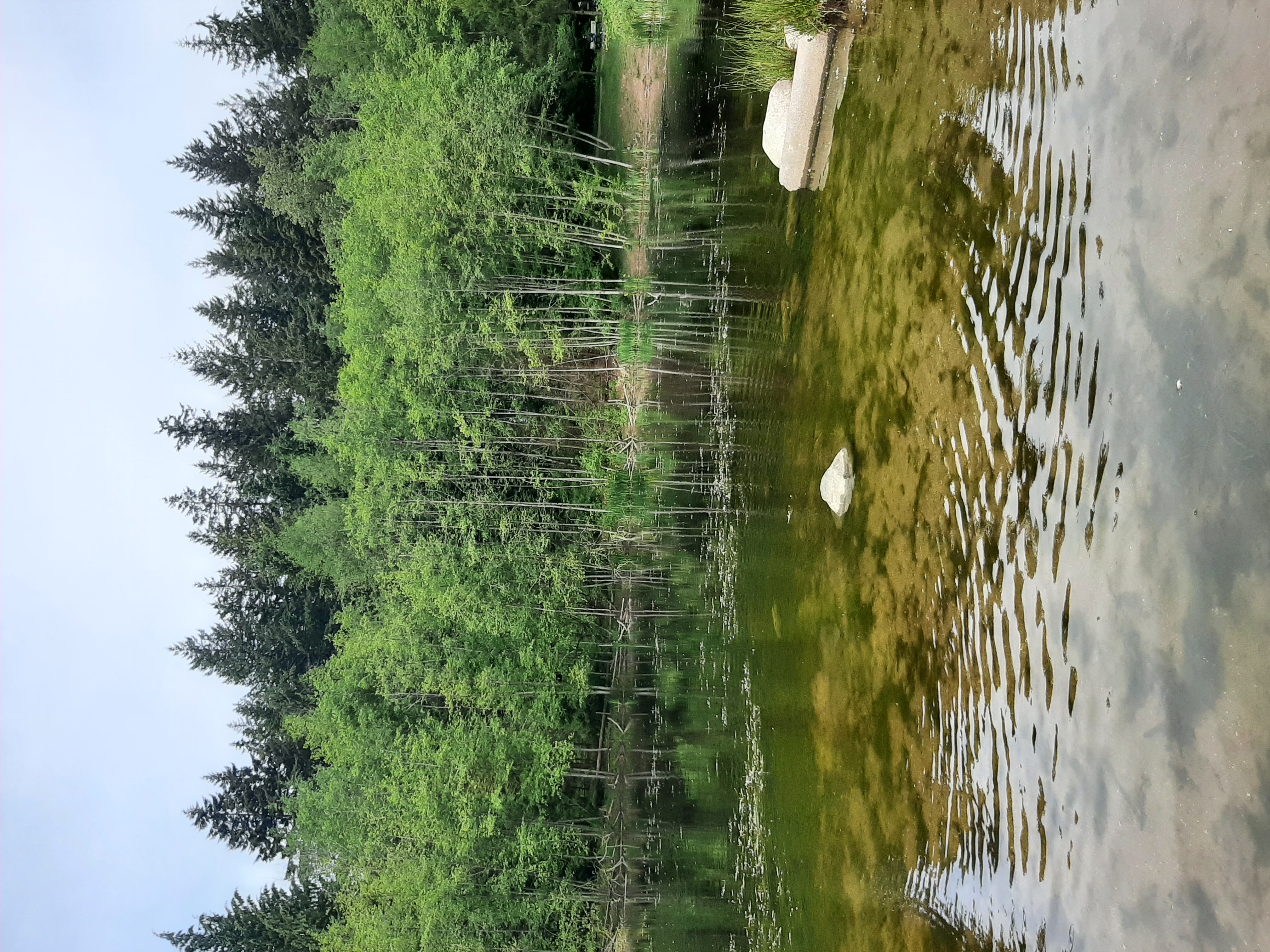20220602_112230.jpg