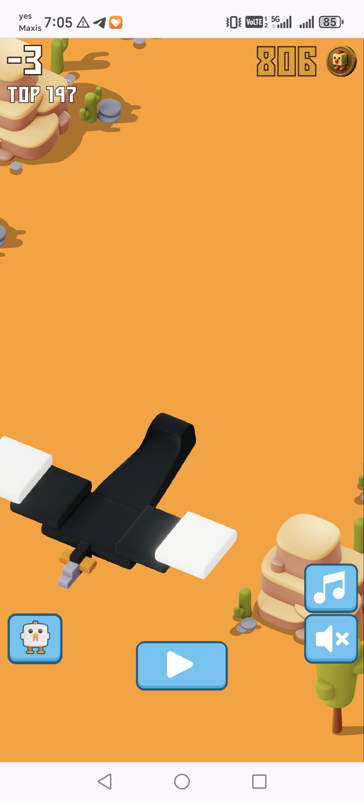 7803.jpg