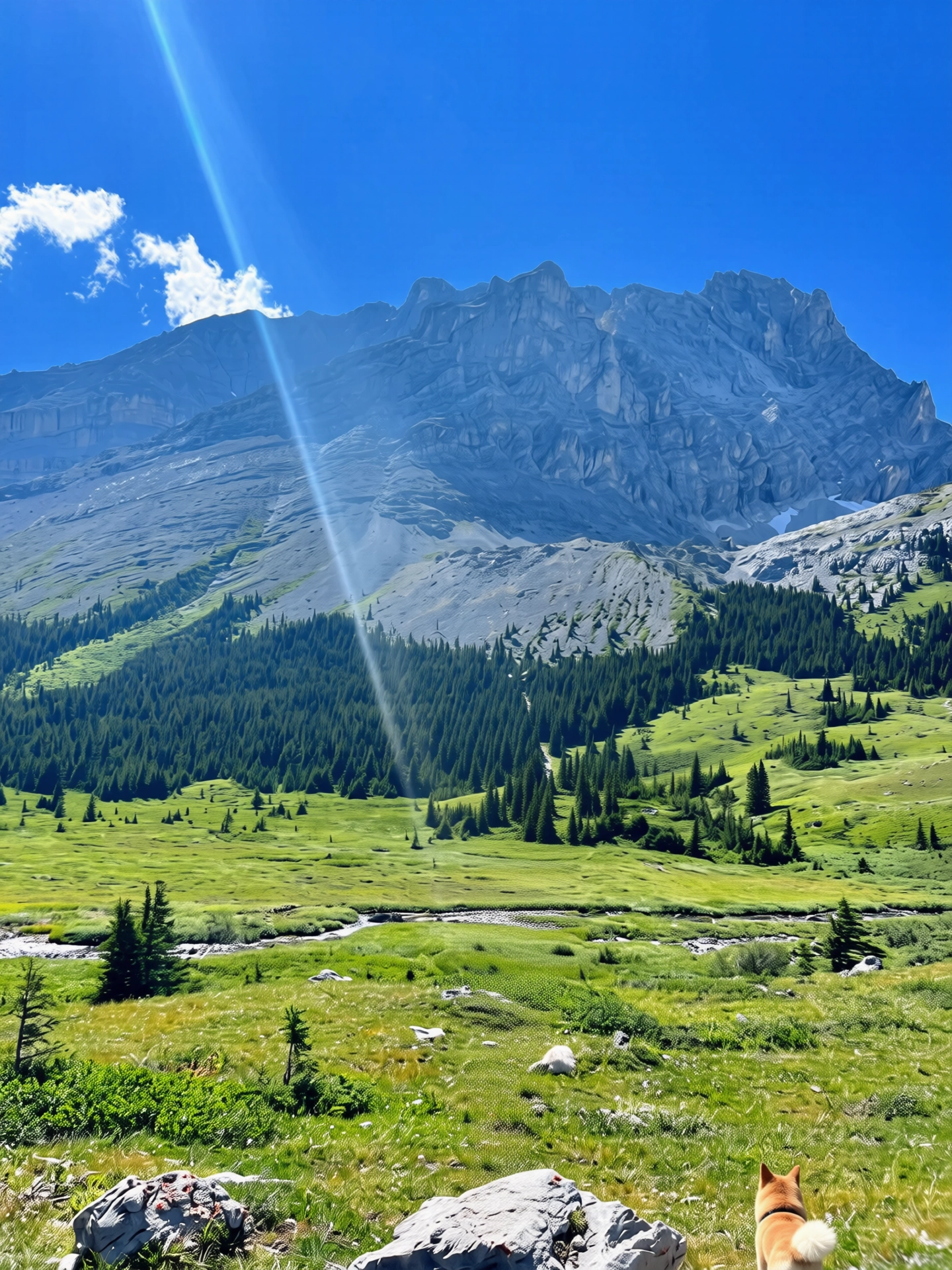 101.webp
