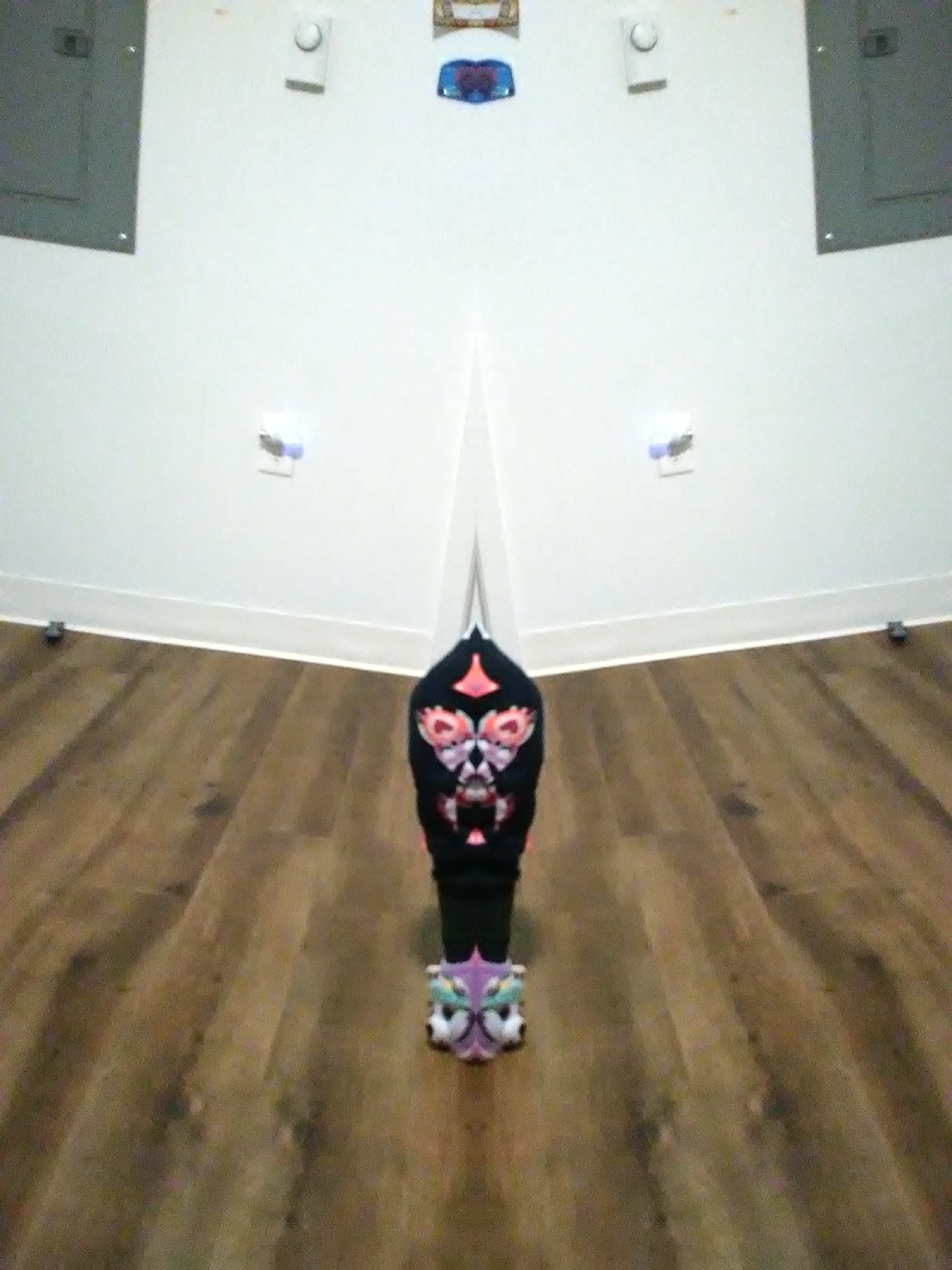 IMG_20190301_201151.jpg