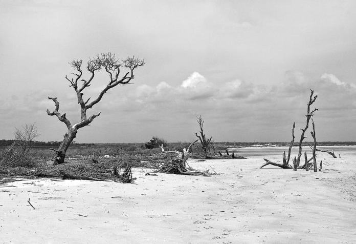 deserted-marcia-colelli.jpg
