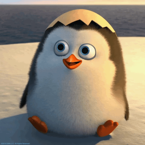 hello 2giphy.gif