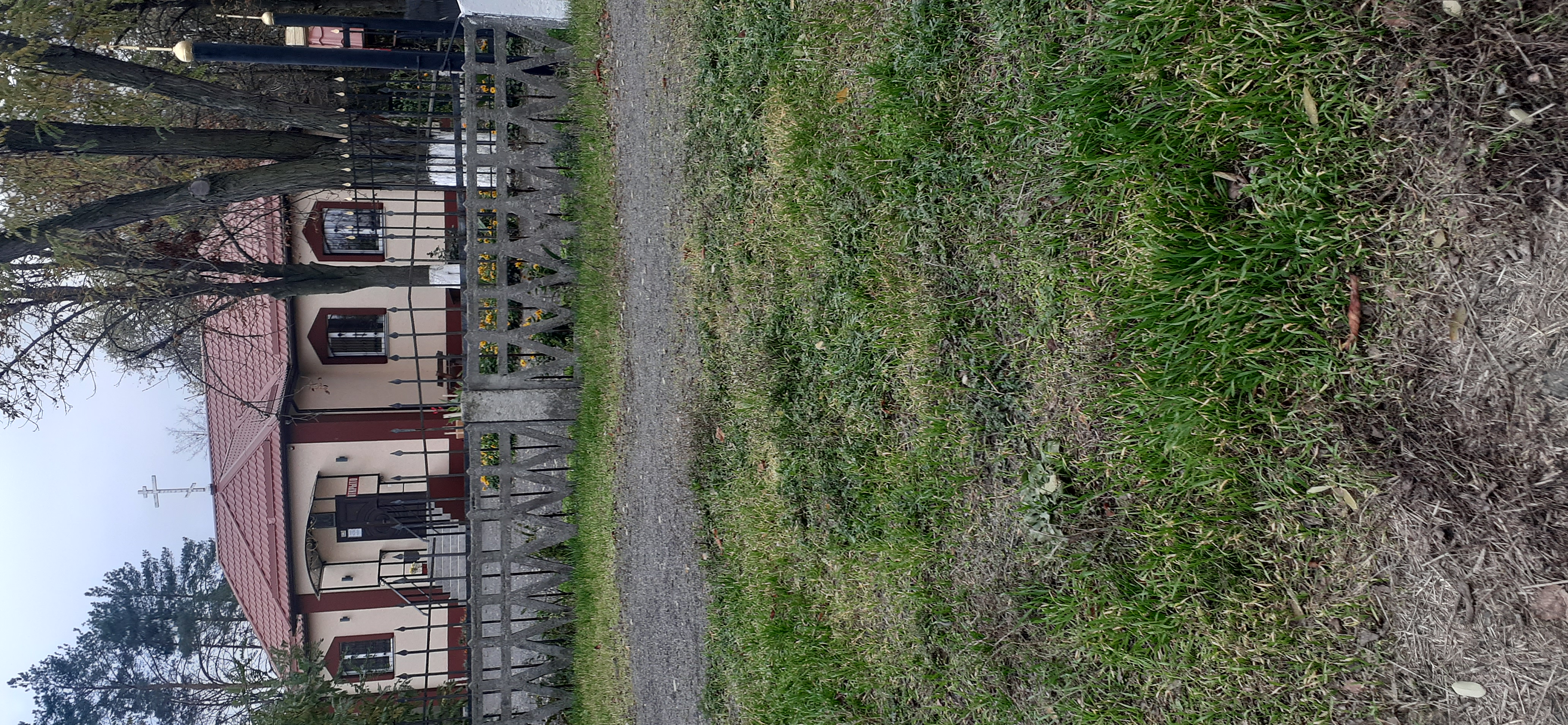 20201105_144529.jpg