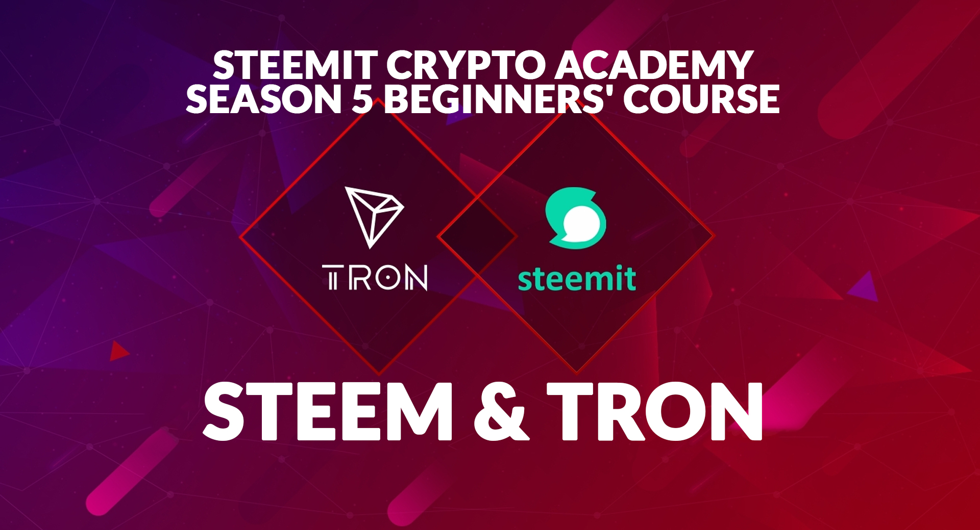 Crypto academy. Crypto academy