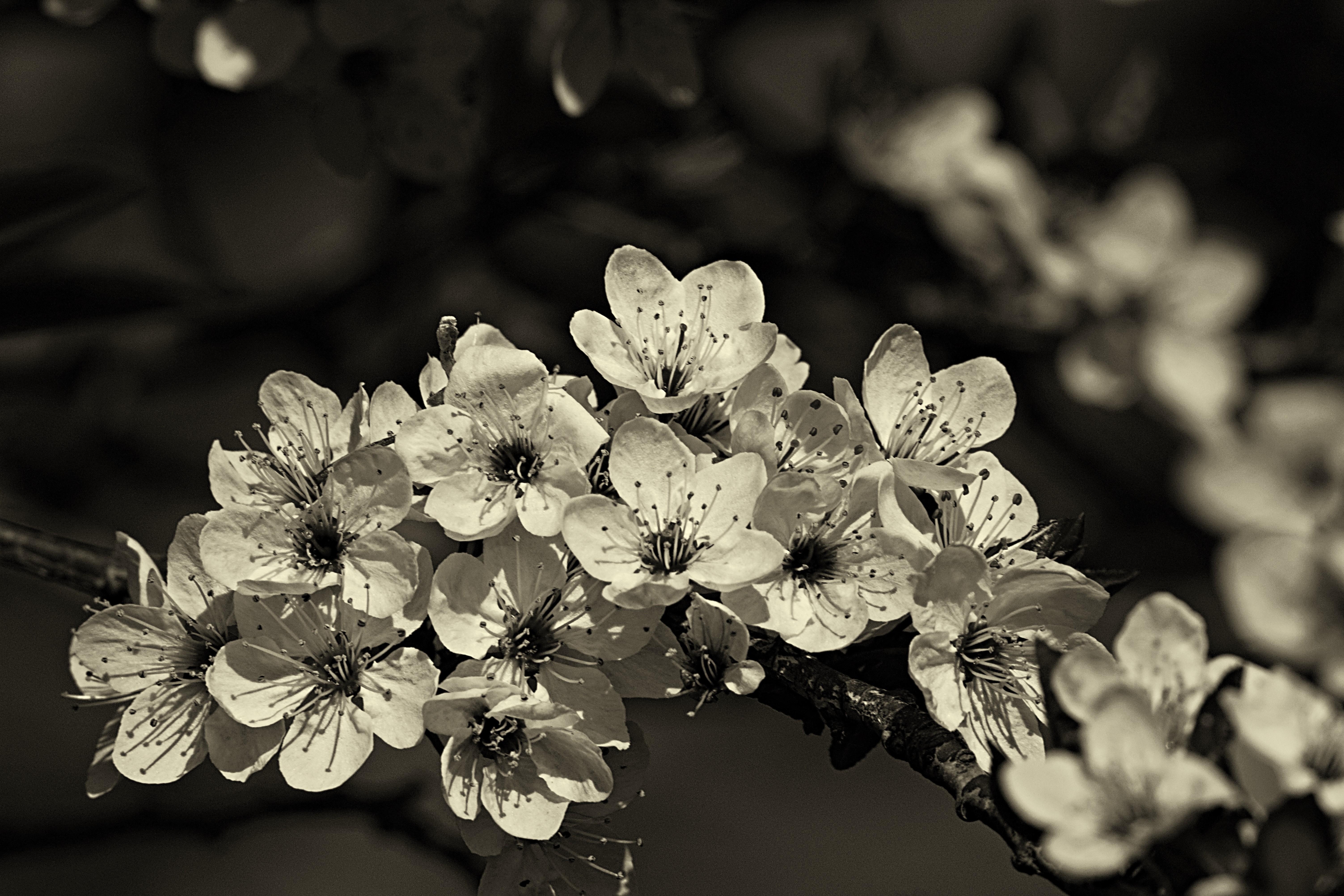 IMG_1391_InPixio (3)_InPixio.jpg