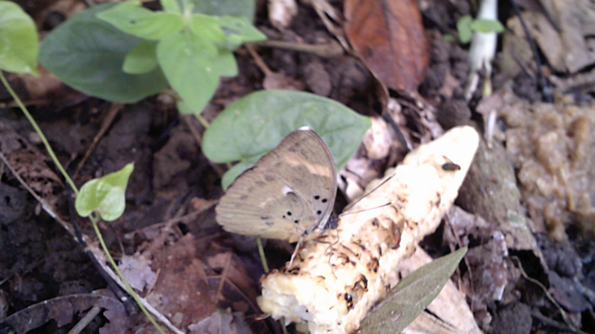DSCF0553.JPG