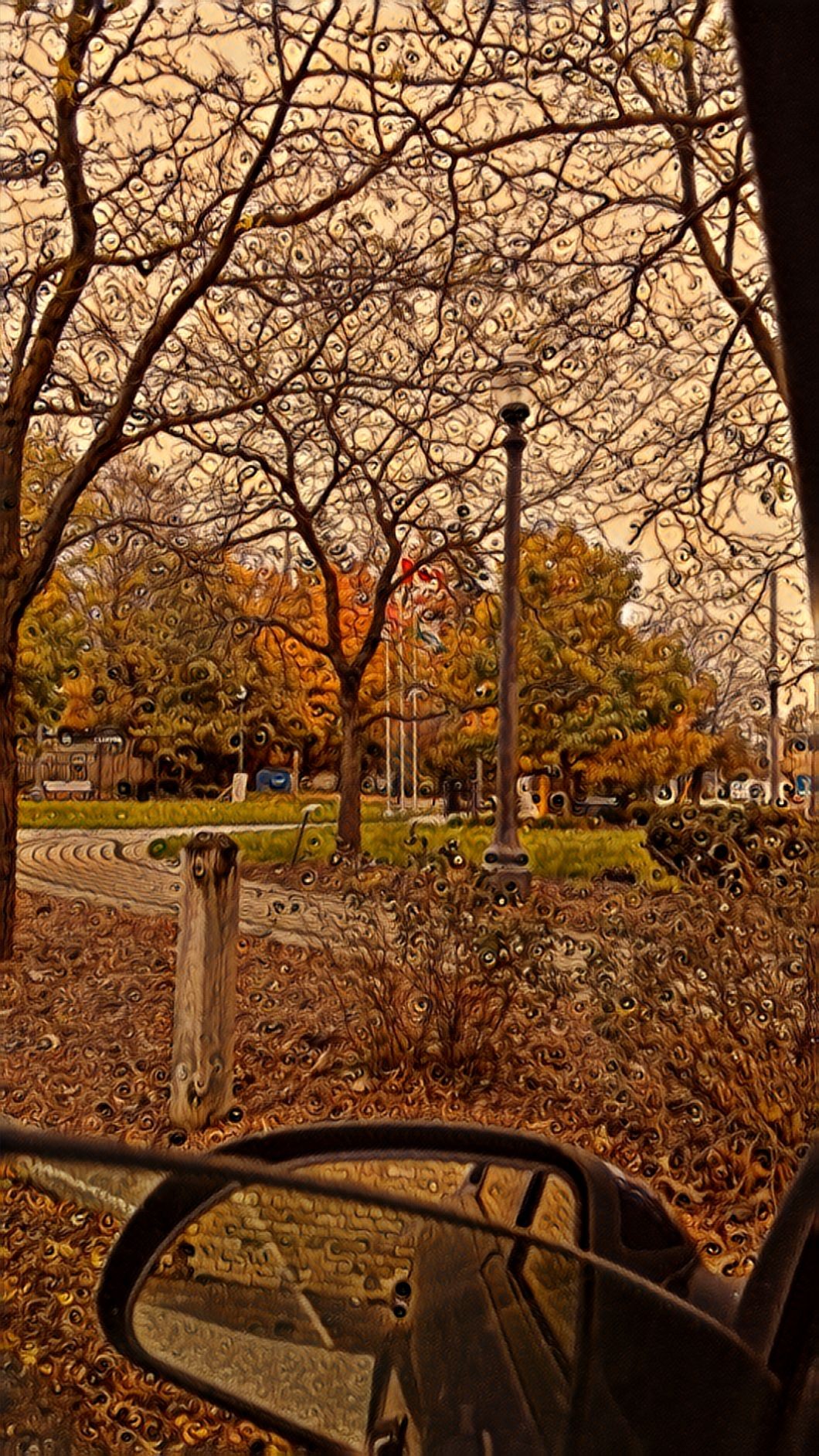IMG_20211030_133437270.jpg