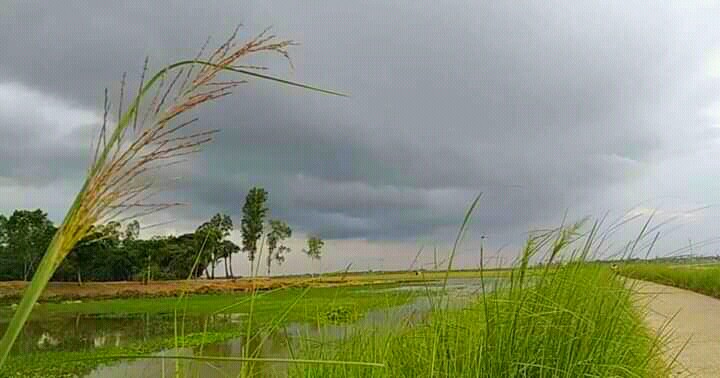 PicsArt_06-21-10.06.06.jpg