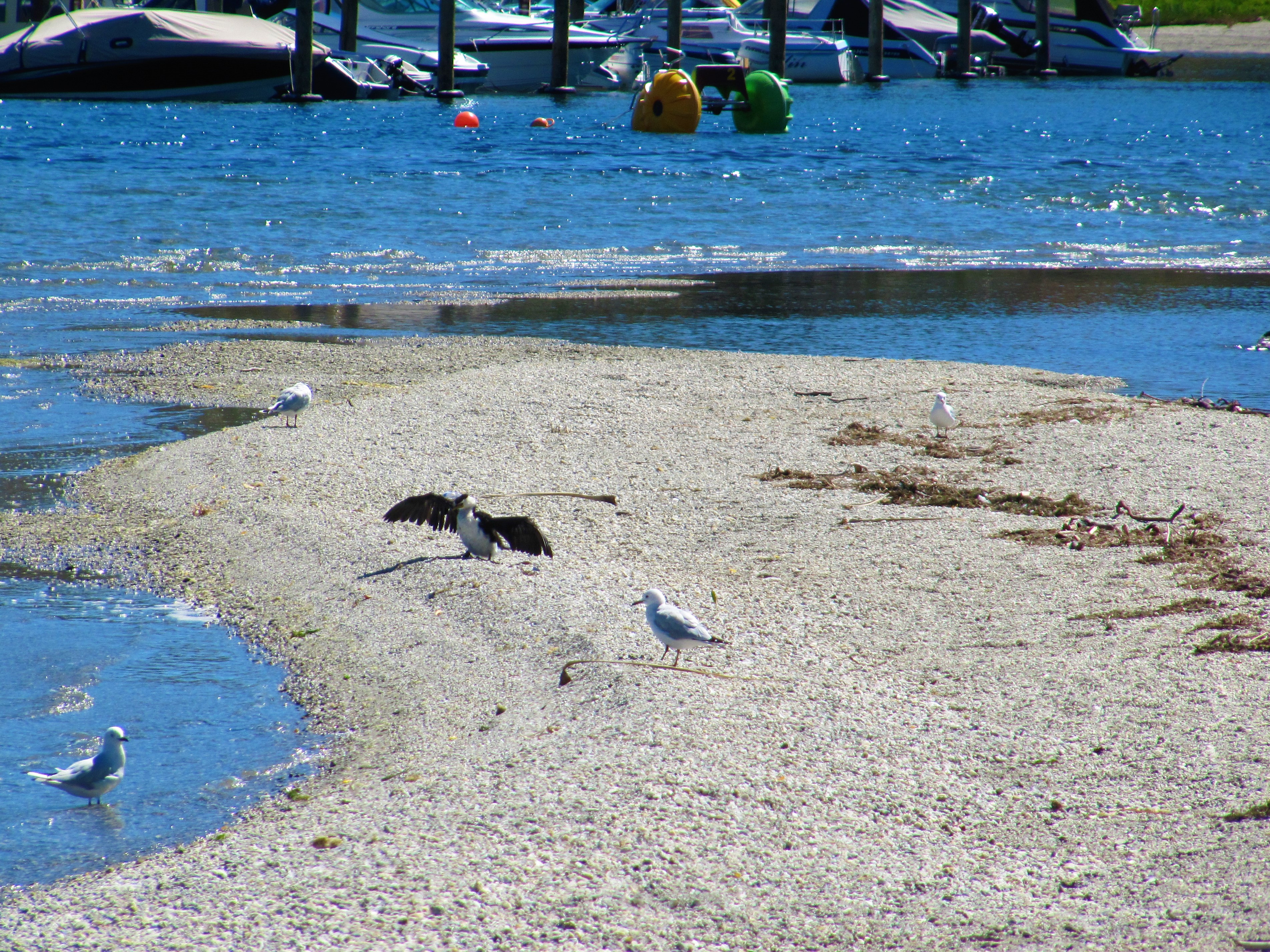 IMG_2378.JPG