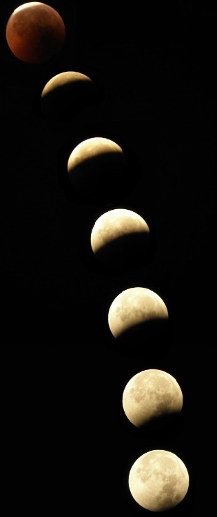 luna.jpg