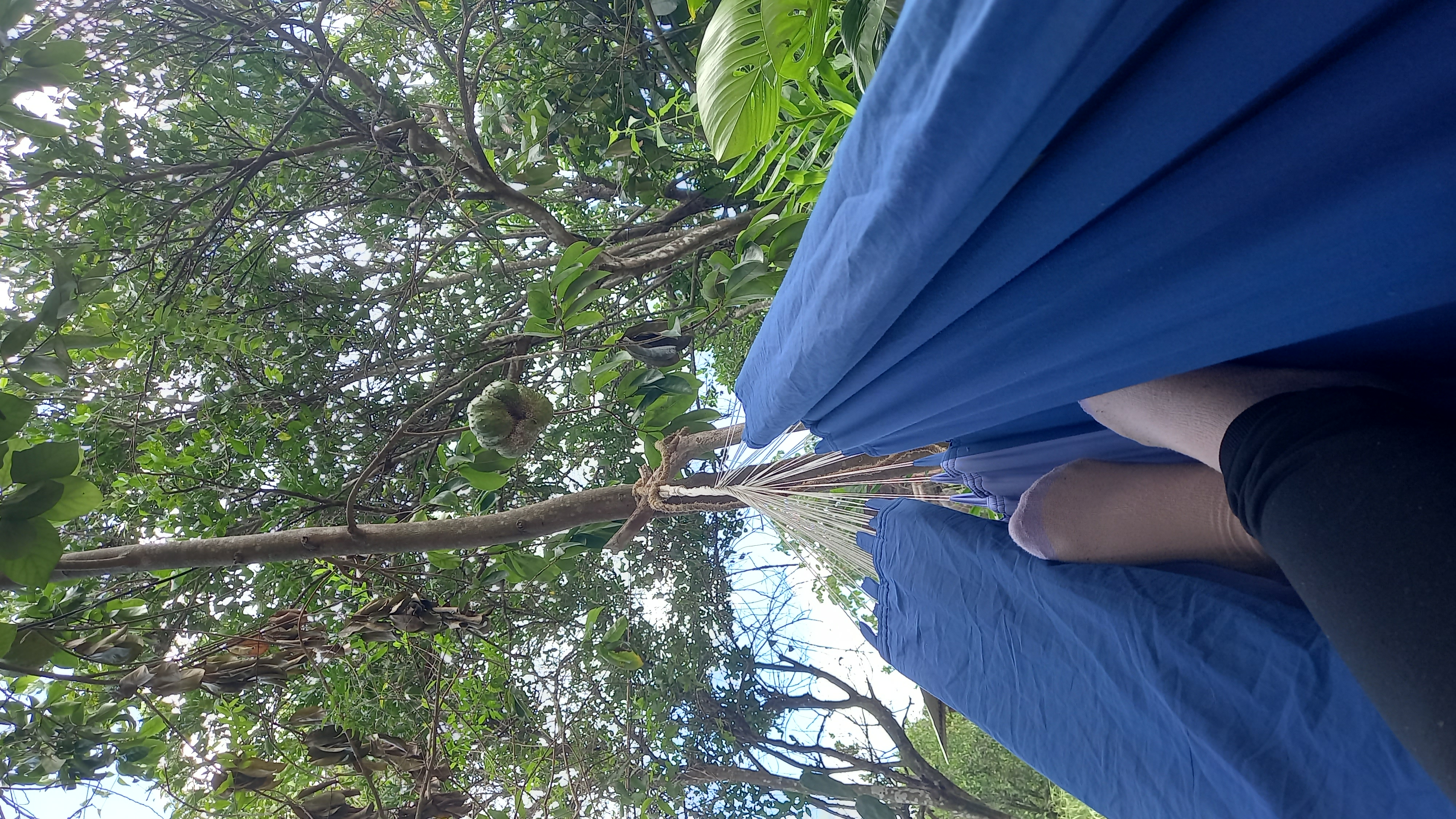 20250803_123313.jpg