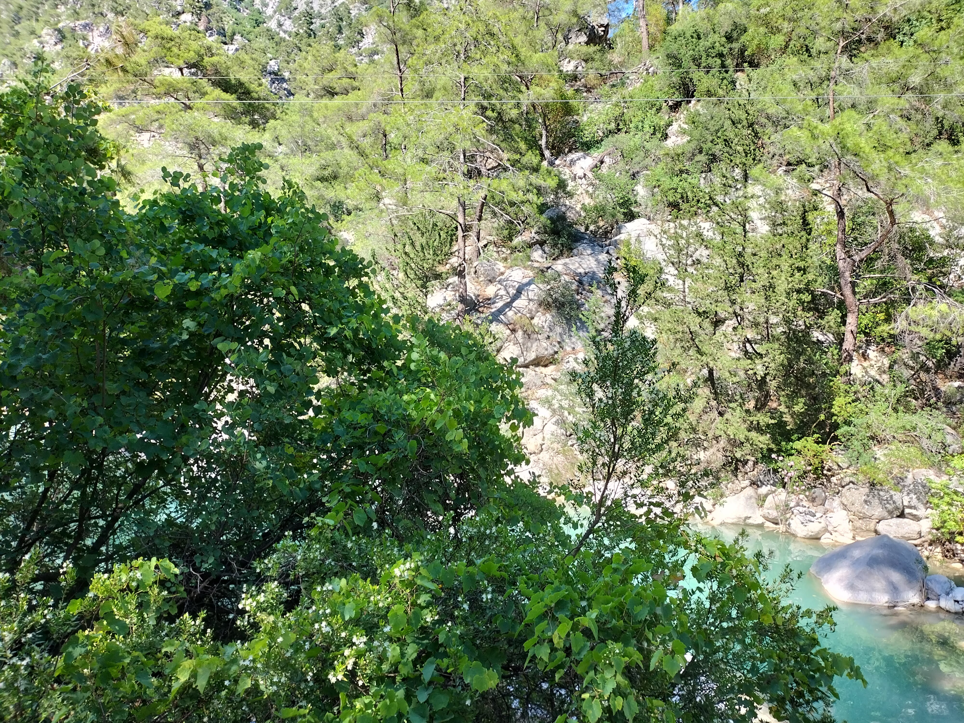 IMG20220625163614.jpg
