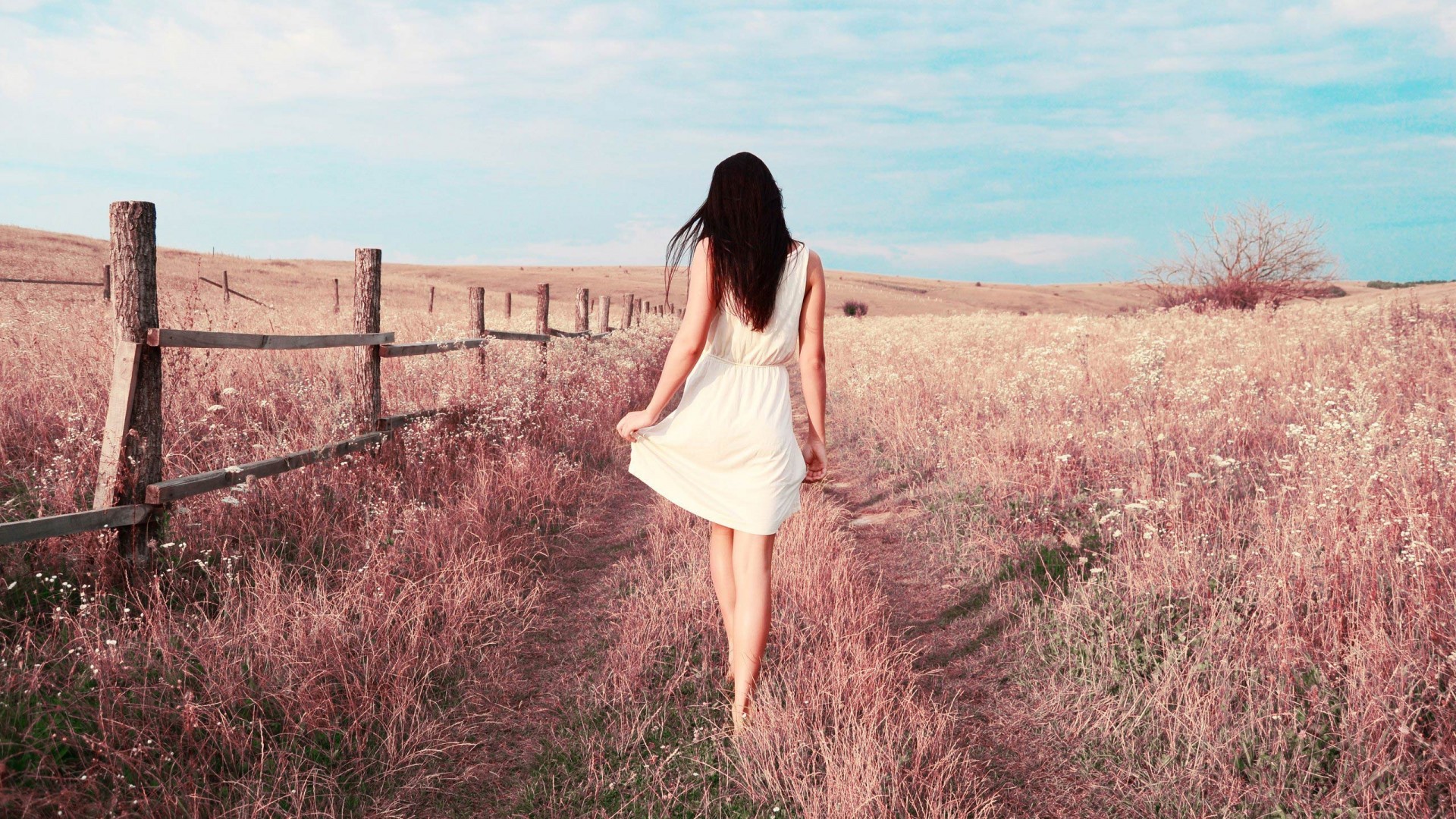 《飞鸟与夏花》每天一首自译飞鸟集（222/325） - Translate a poem form Stray Birds everyday