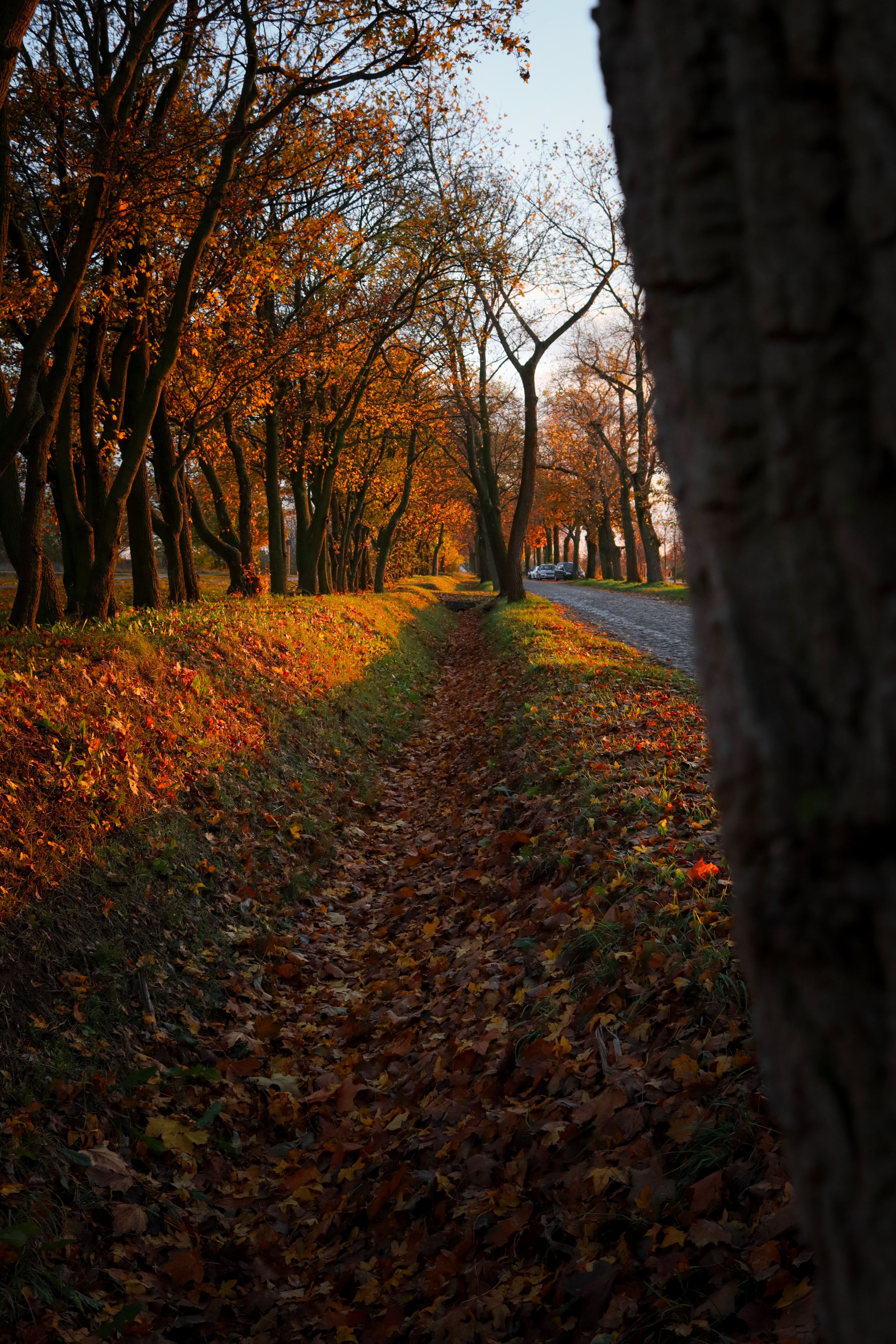 20231104182913_IMG_4574 (2).jpg