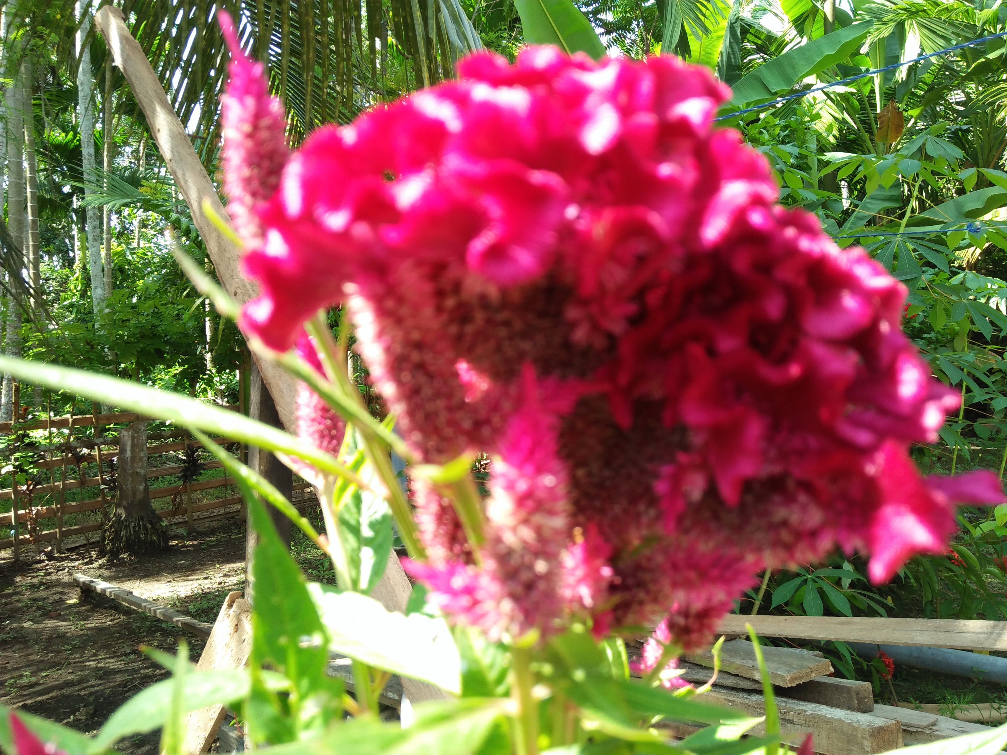 IMG20210627144123.jpg