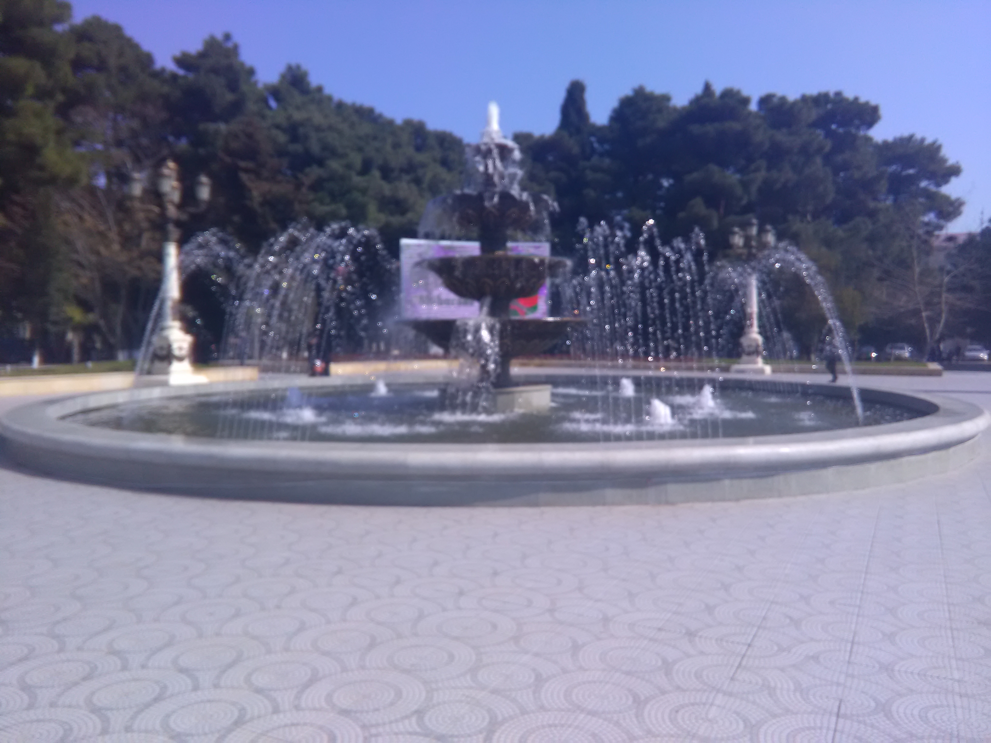 IMG_20190322_104950.jpg