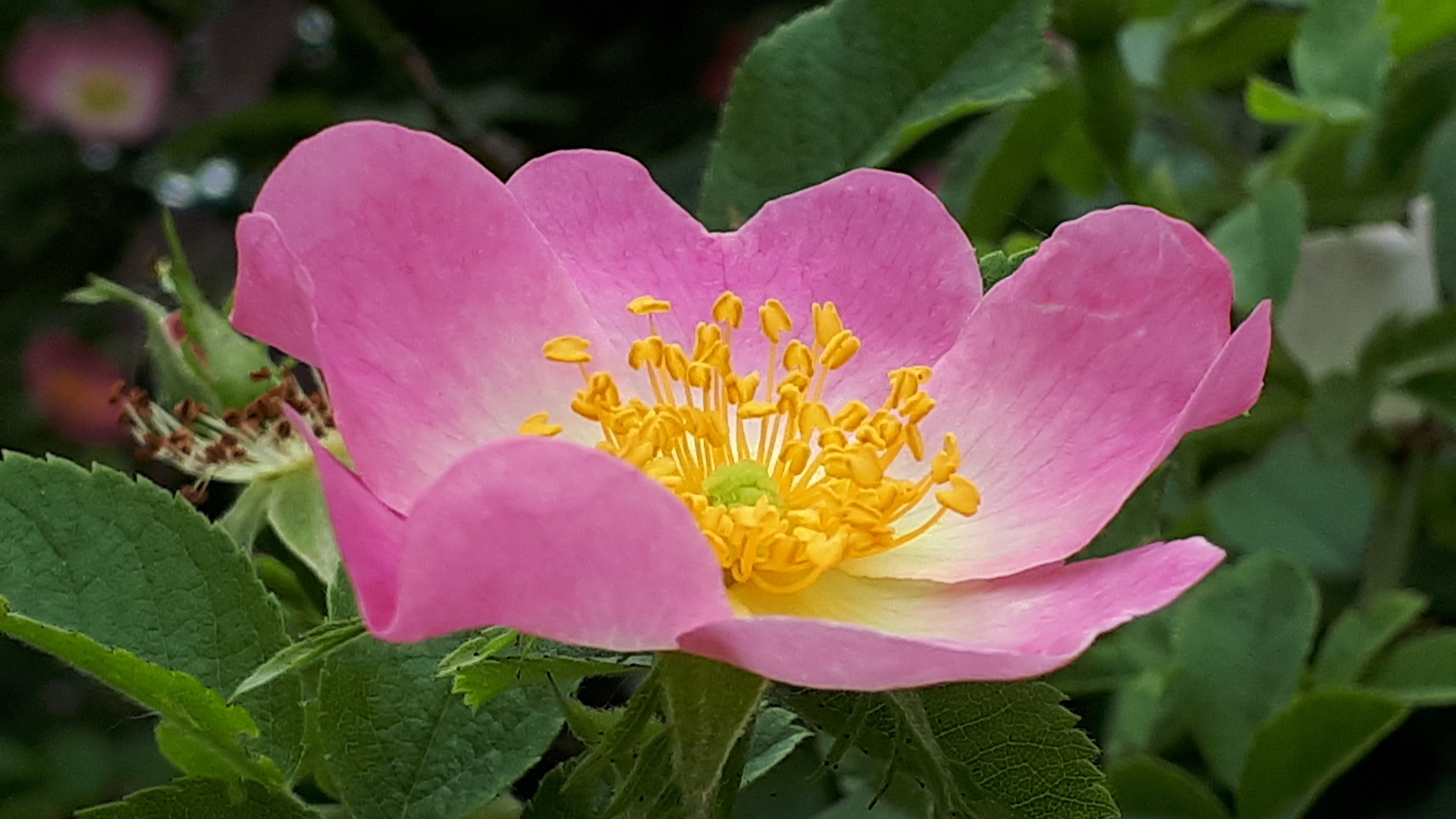 20190519_114826.jpg