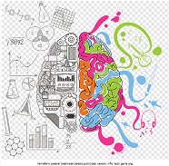Cerebro.jpg
