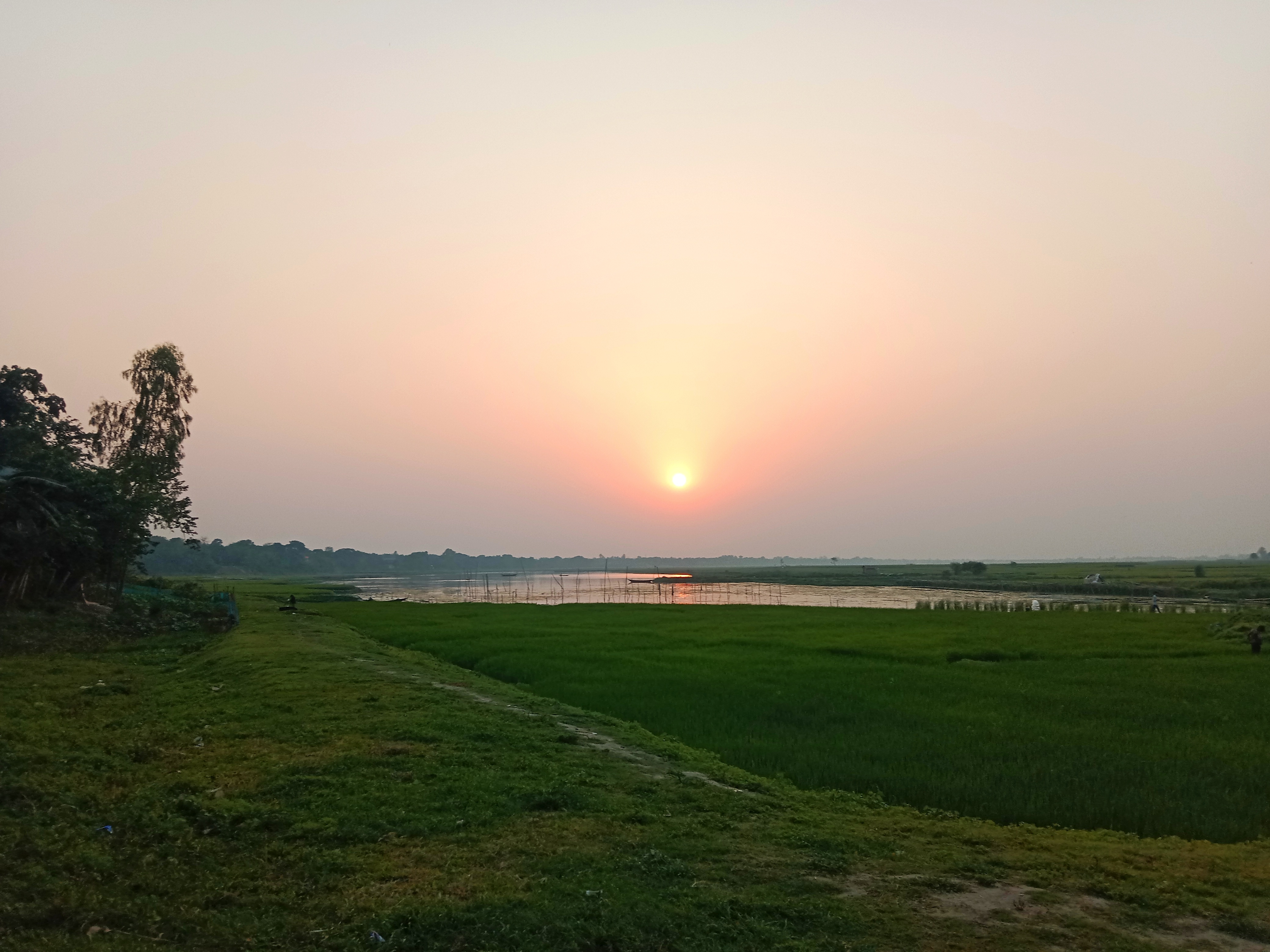 IMG_20260416_090146.jpg