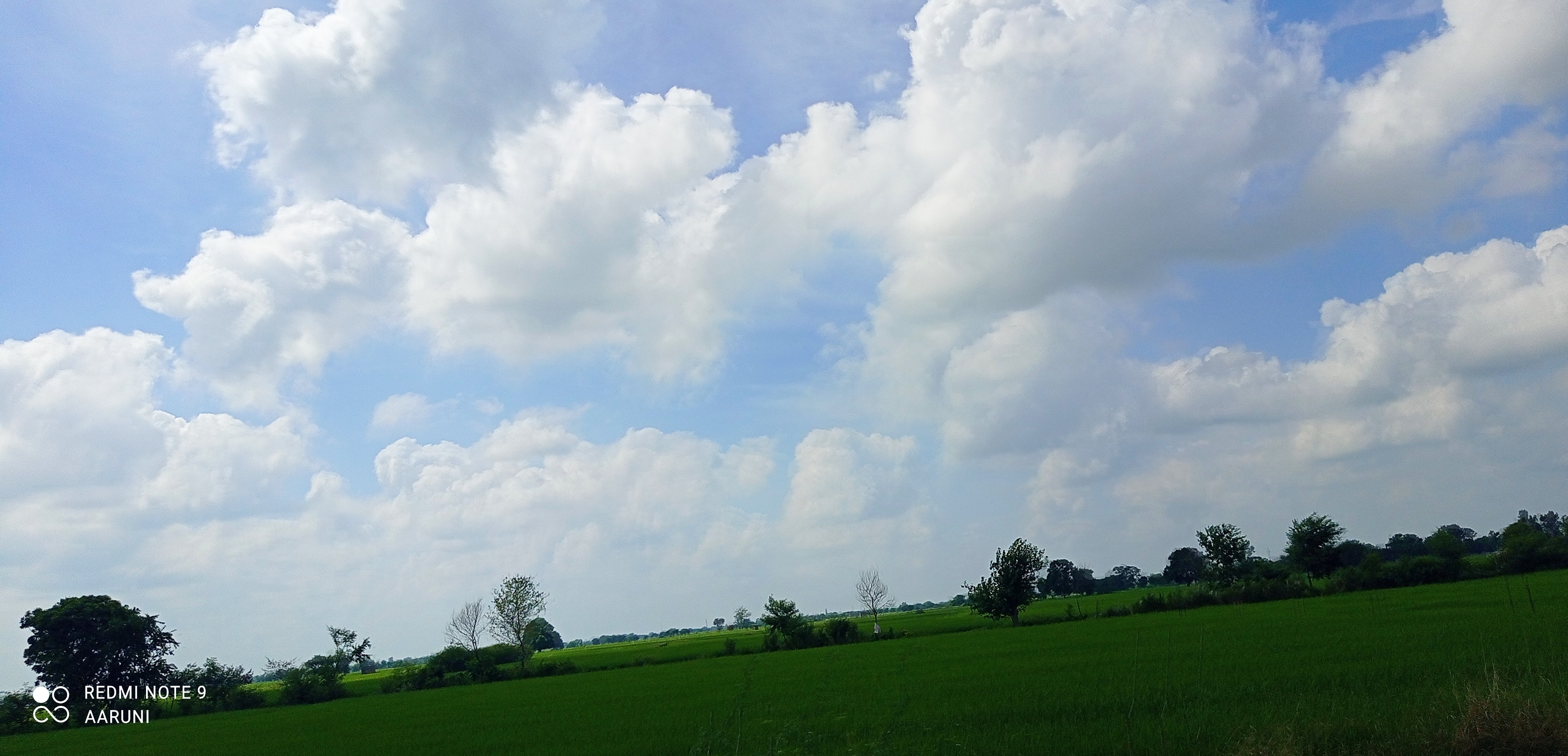 IMG_20201030_140654.jpg