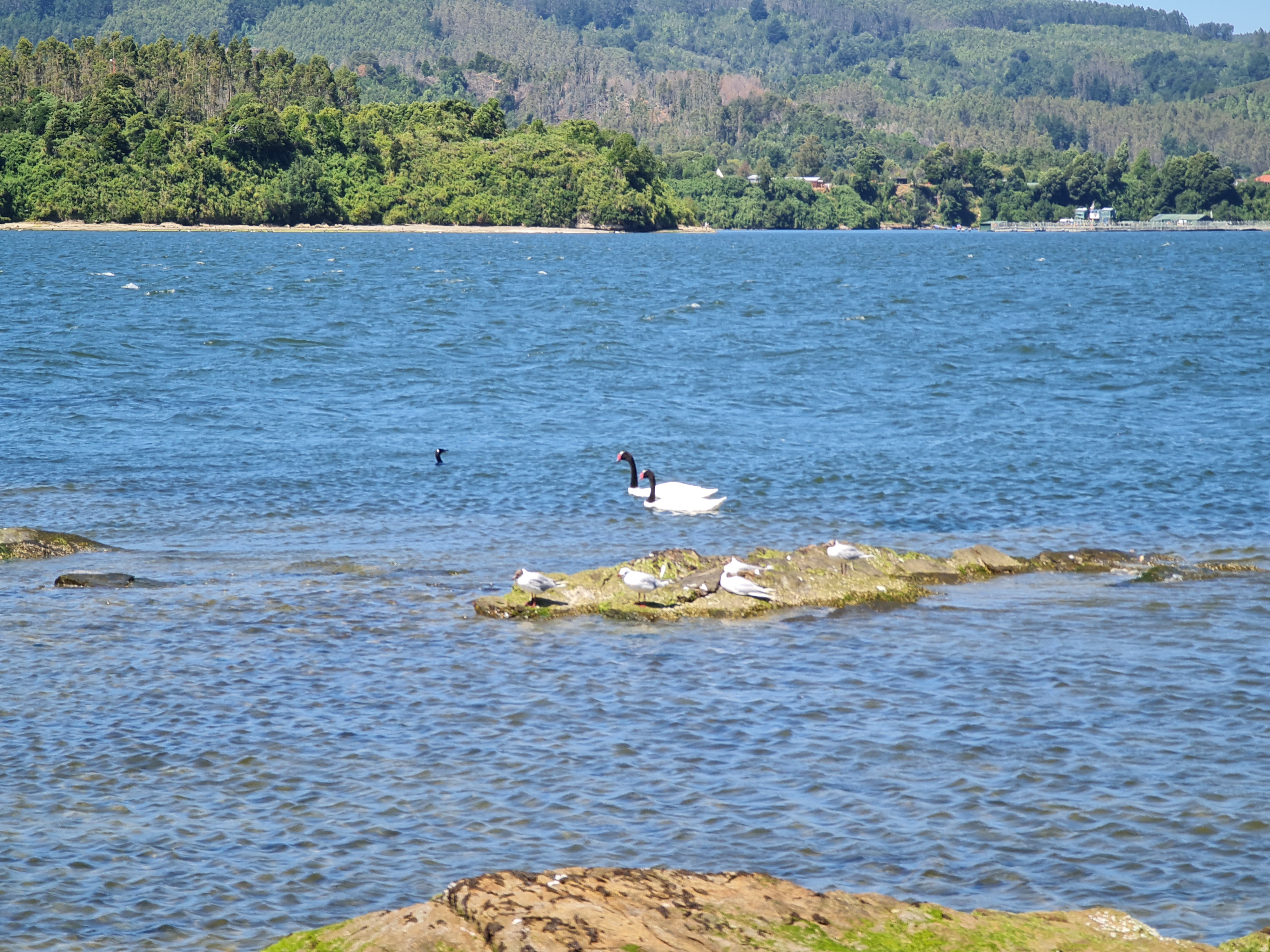 20220126_155239.jpg