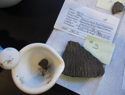 sherd1.jpg