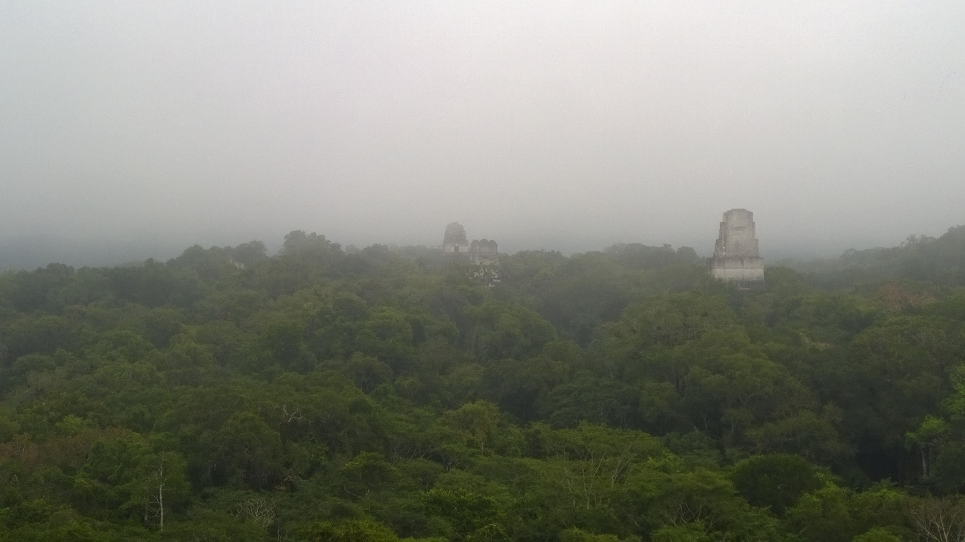 WP_20180302_007.jpg