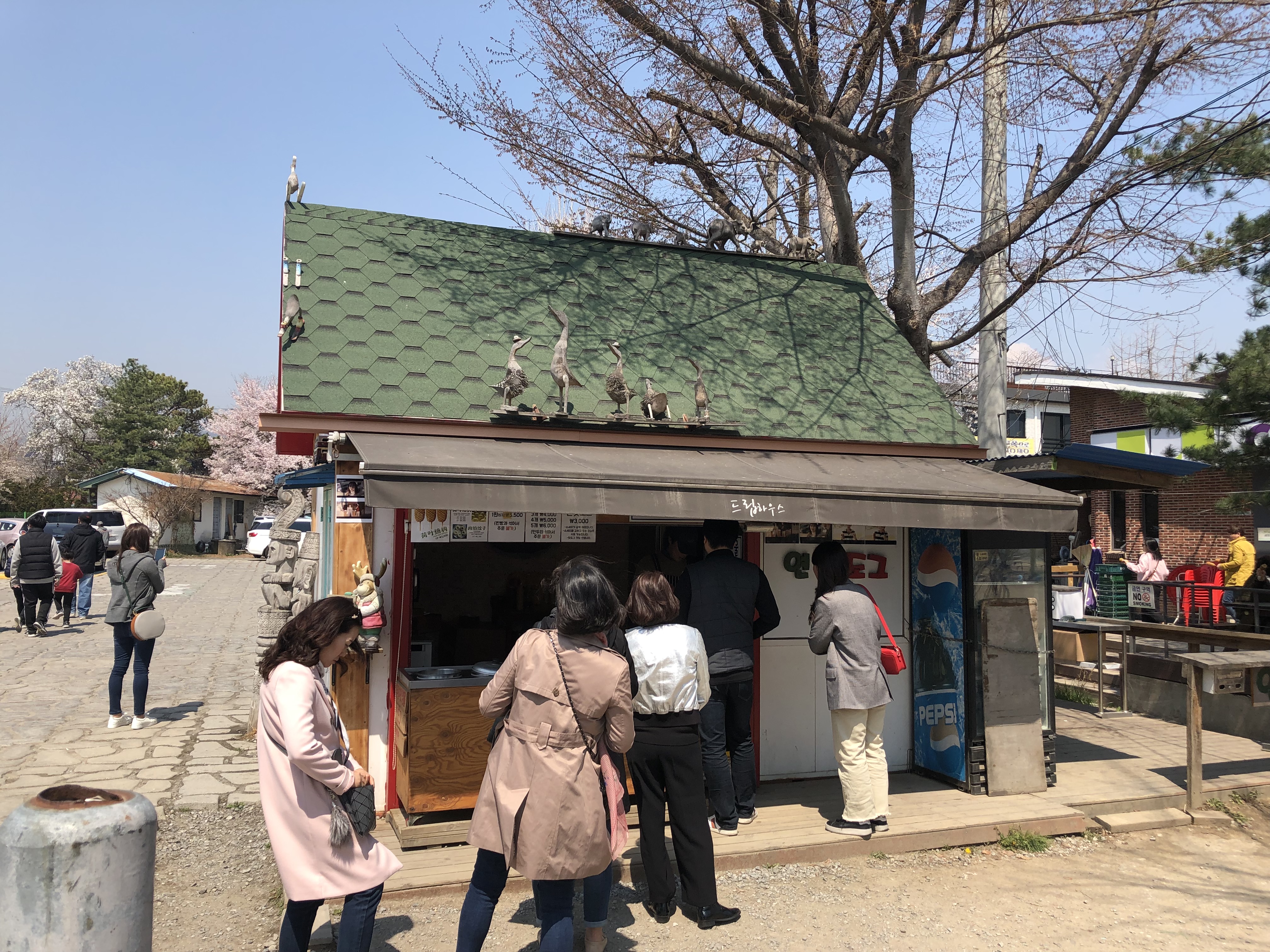 IMG_0292.jpeg