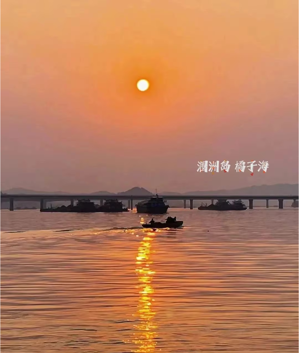 98d12559a8bb57ee59464686e0b82f1.png