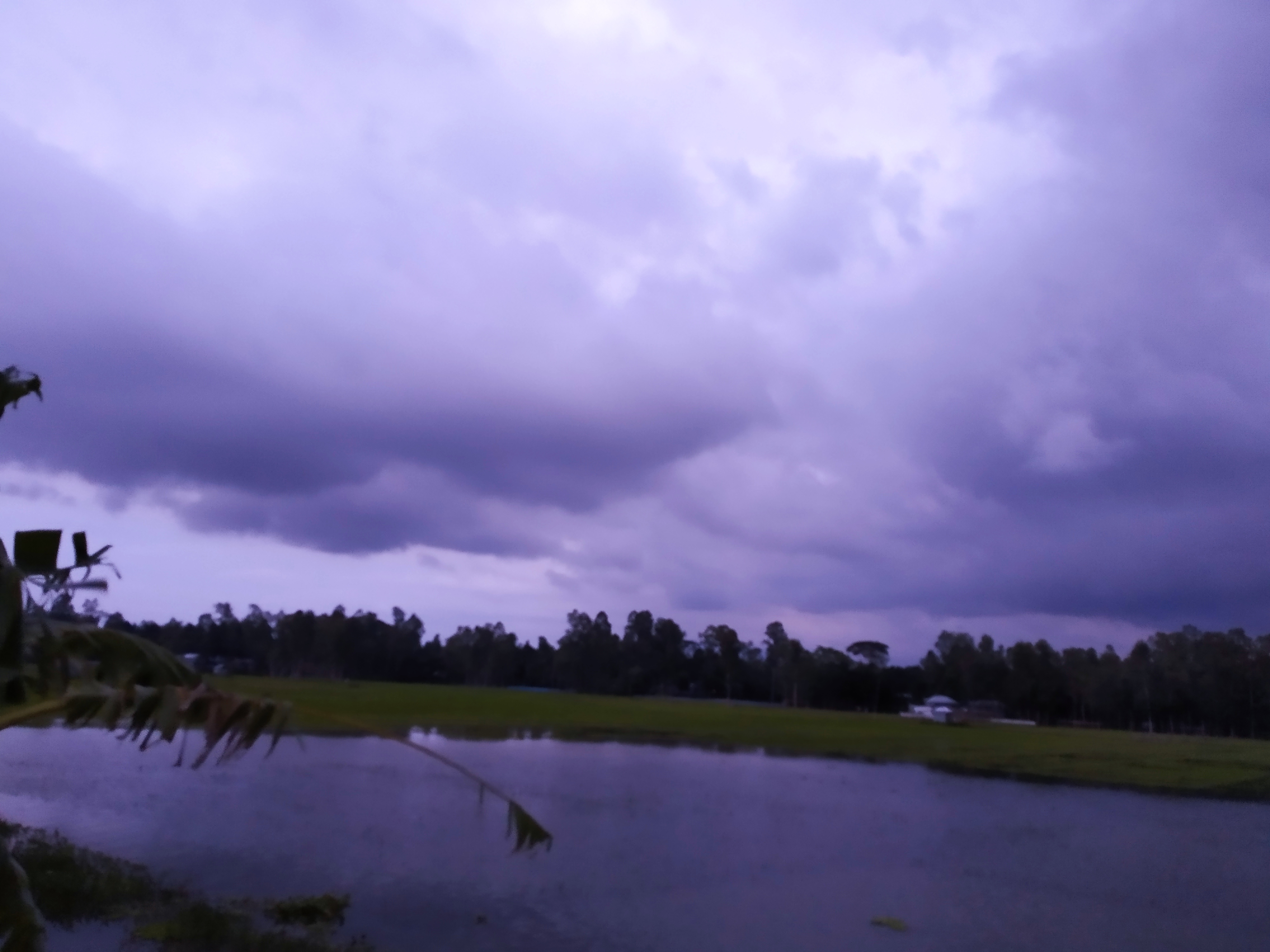 IMG_20200921_175835.jpg