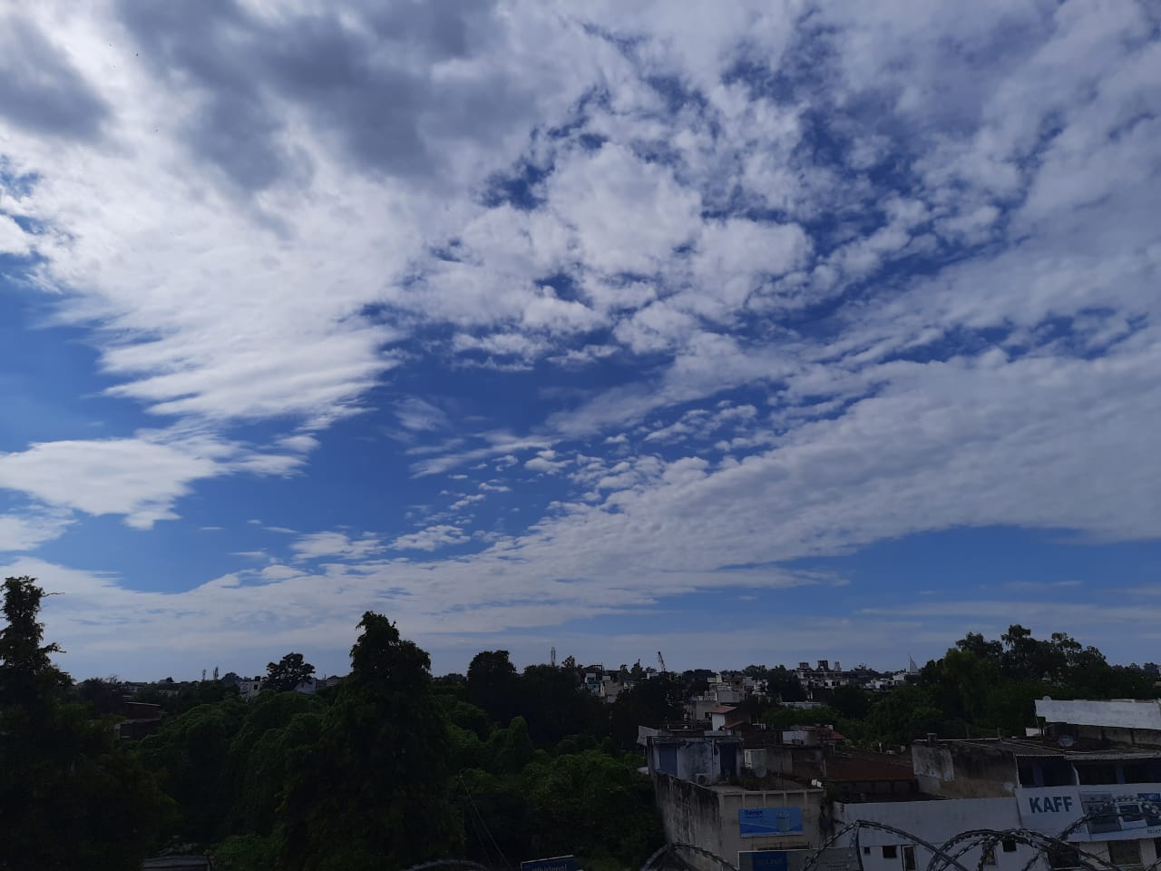 IMG-20211018-WA0001.jpg