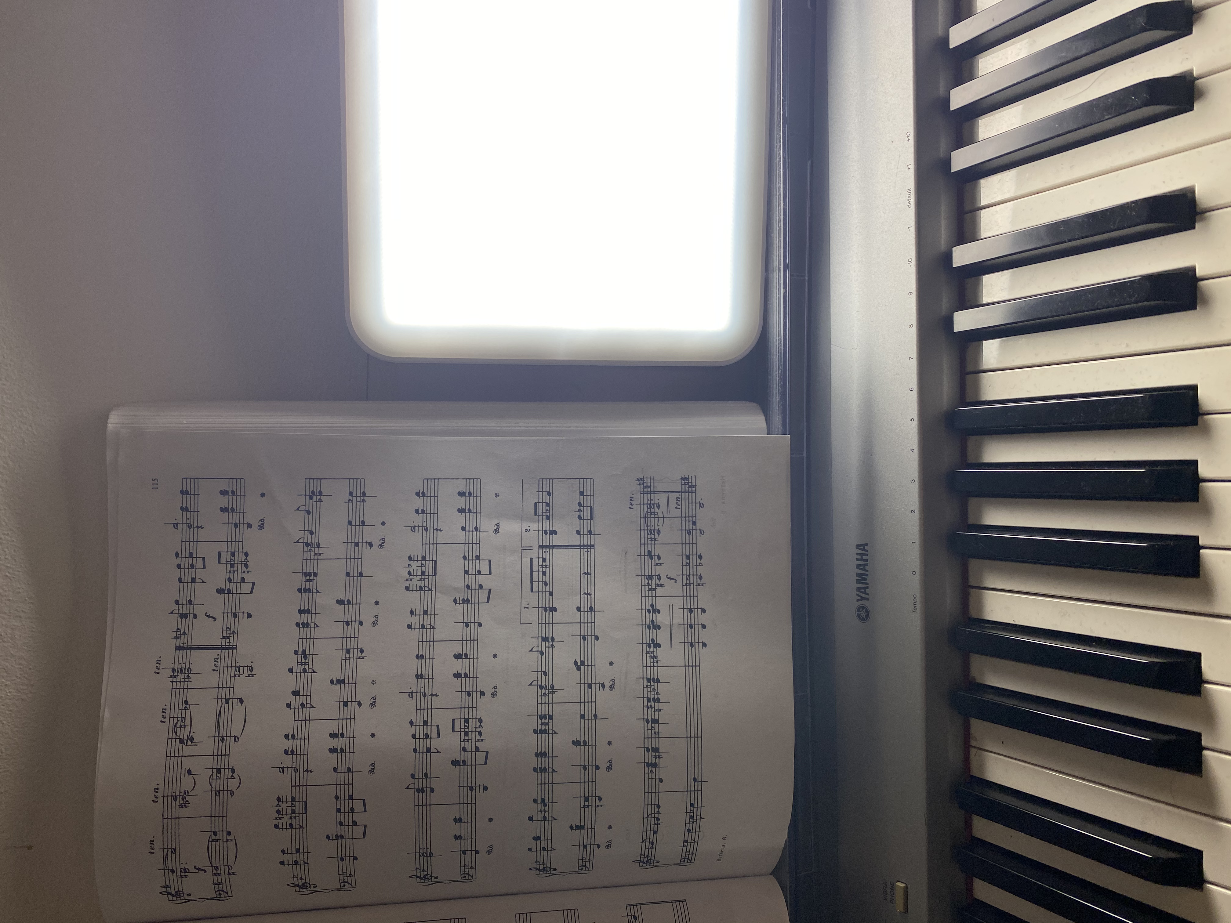 IMG_1441.jpeg