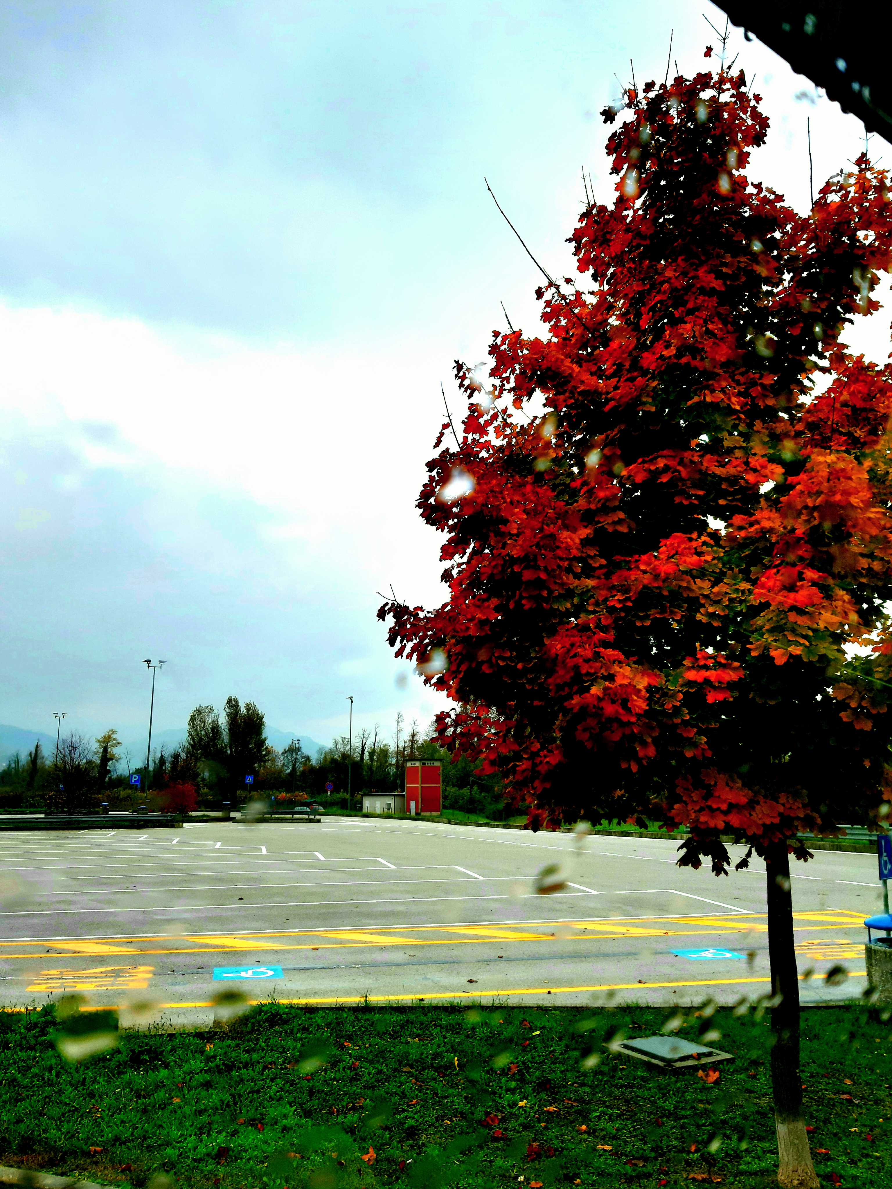 20191121_120857.jpg