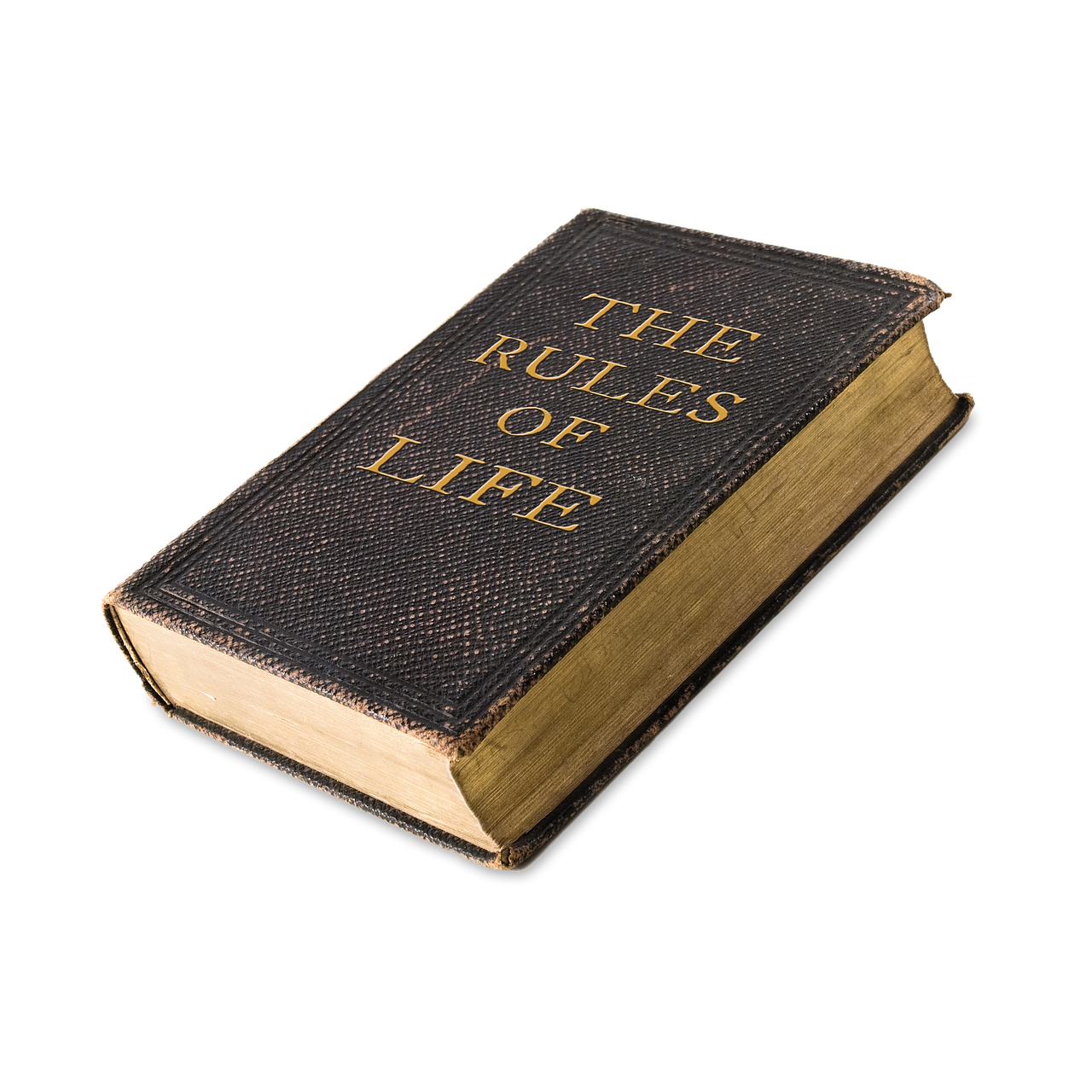life-2643192_1280 (1).png