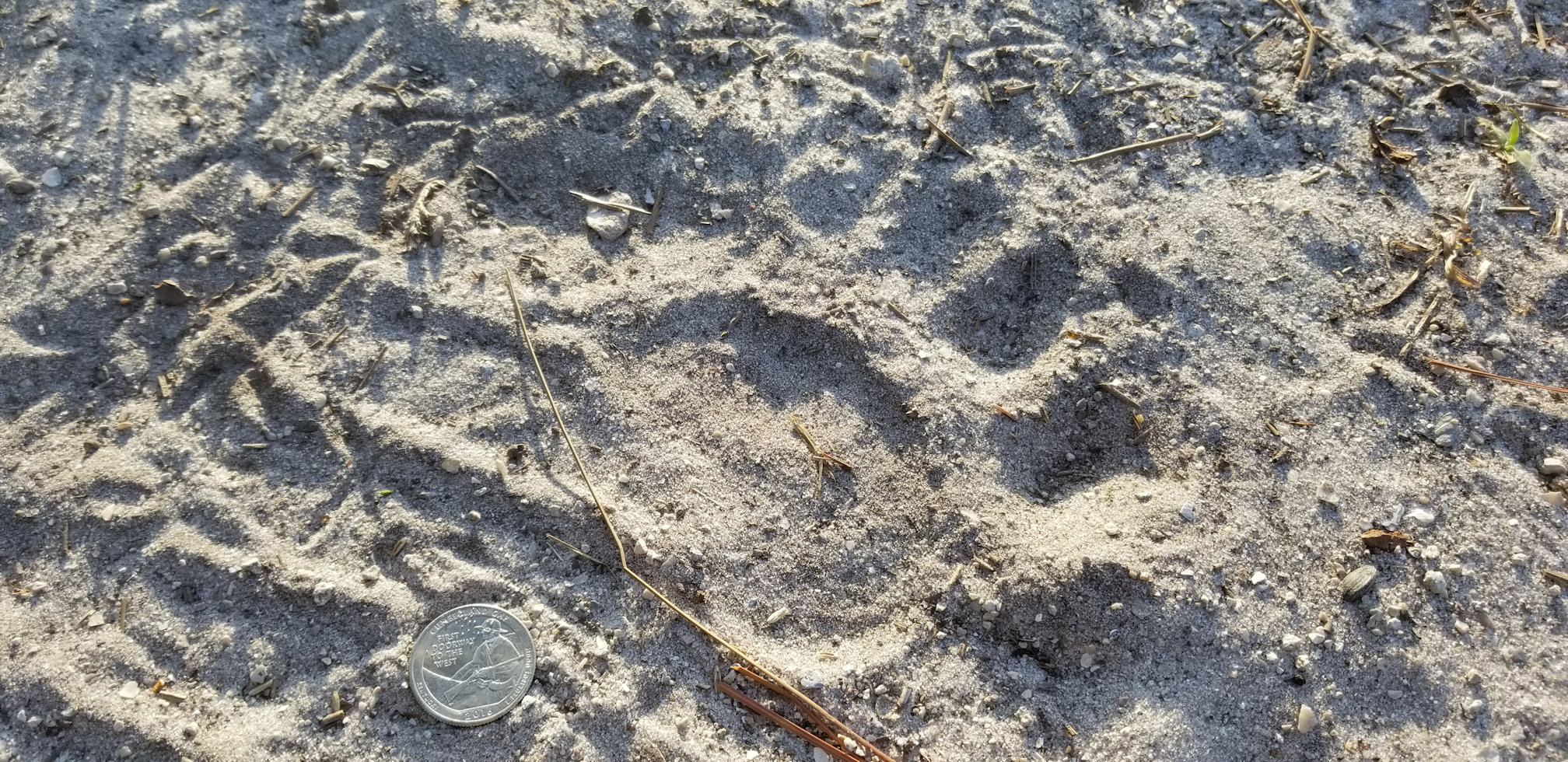 20180502_075150.jpg